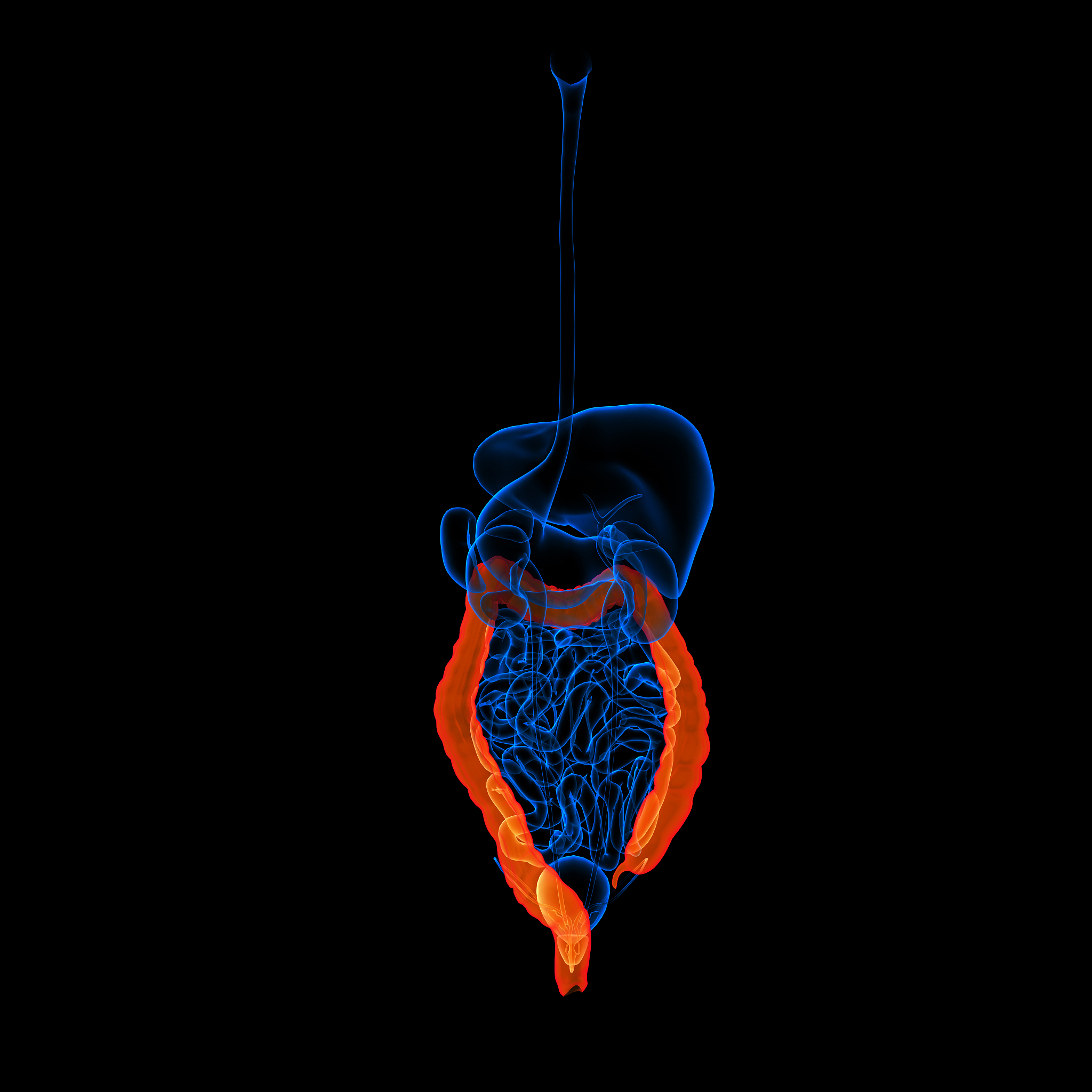 吃辣就想拉肚子怎么回事