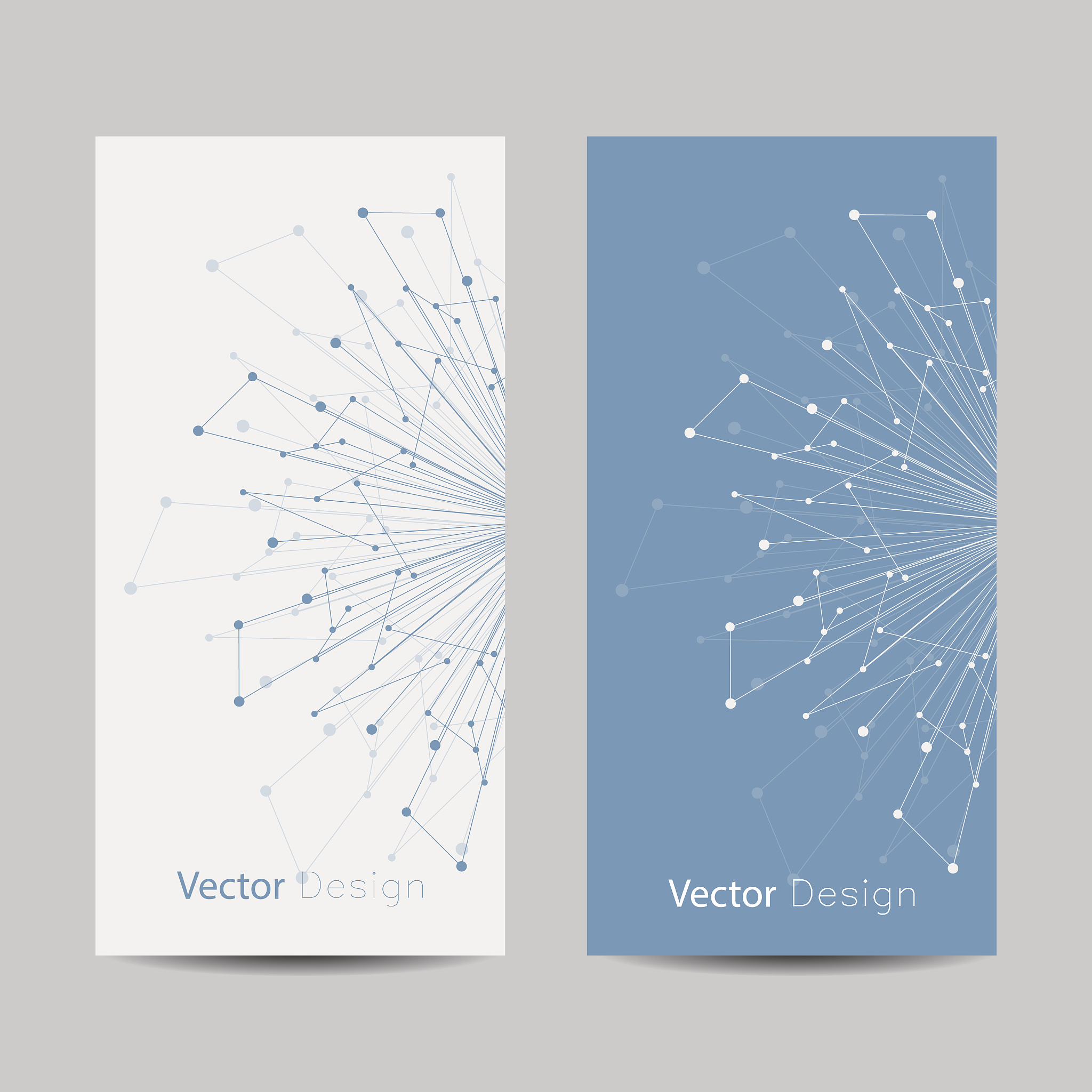 汉族 Y 染色体：揭示遗传多样性和迁徙历史