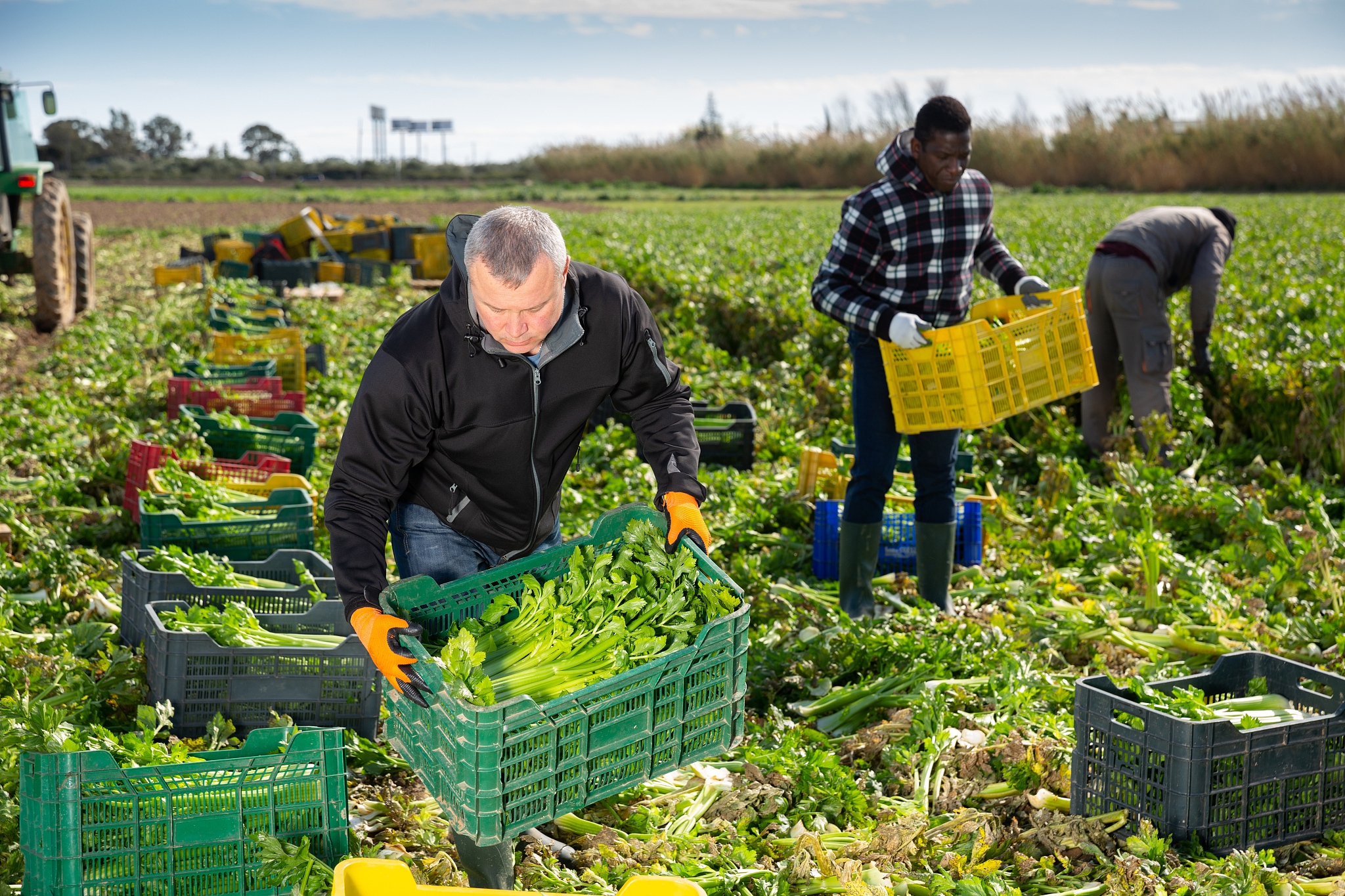 重庆第二农业学校2021年招生专业介绍 - 培养高素质农业技术人才