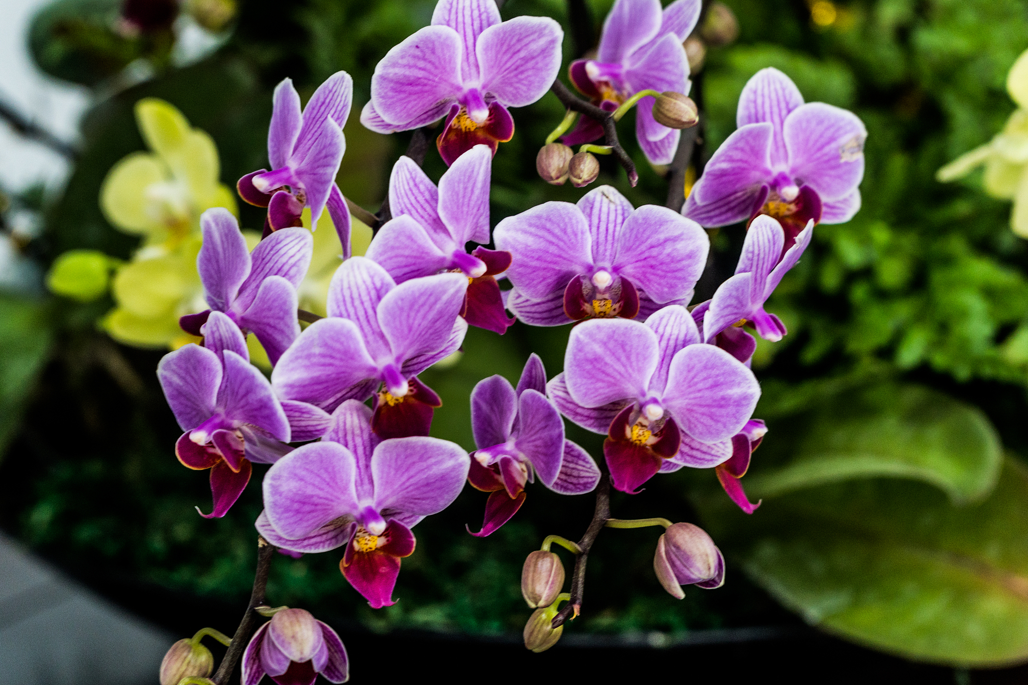 重庆璧山职教中心2020年园林专业招生简章