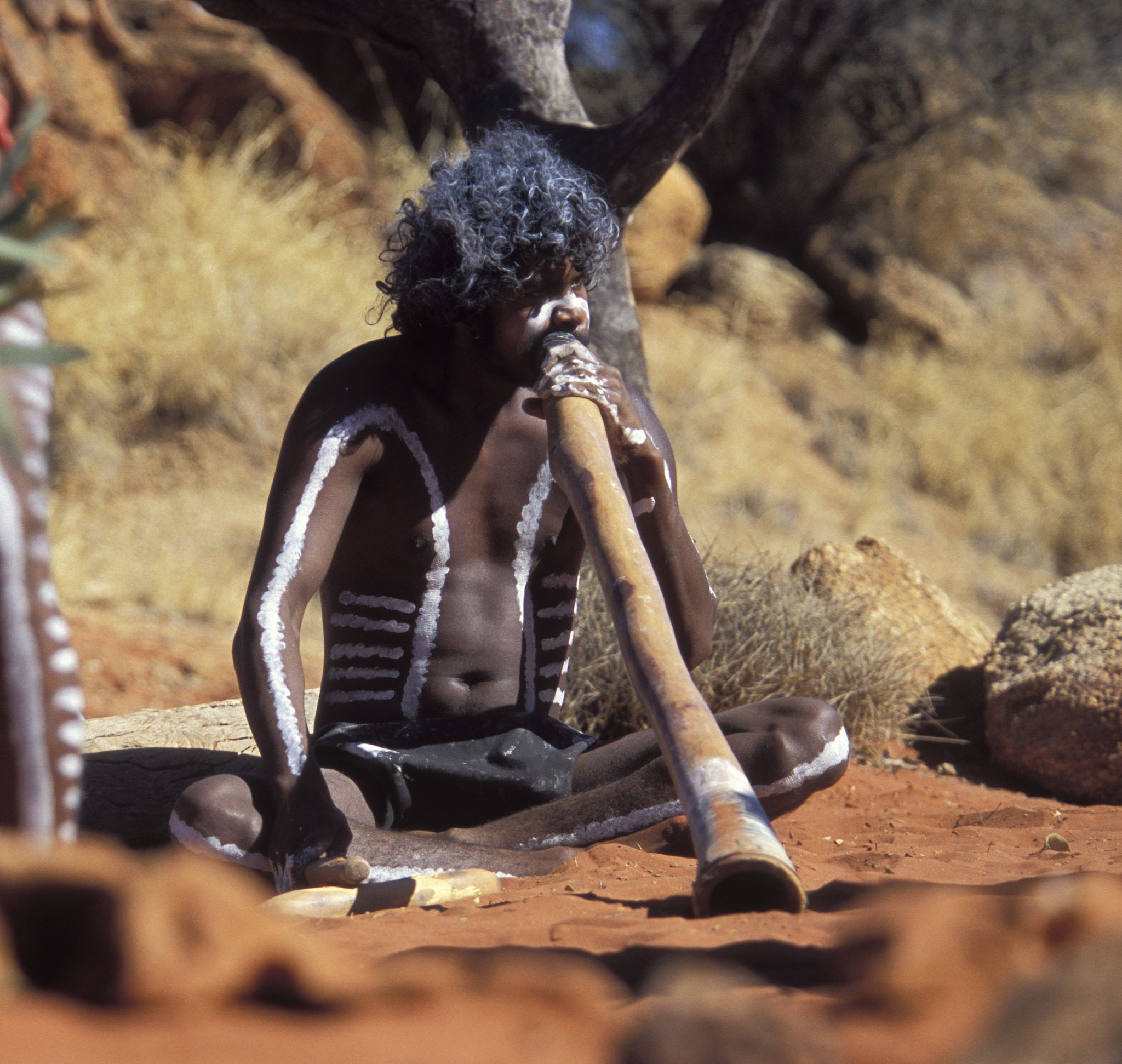 现代都市人初入原始部落：文化冲击与适应挑战