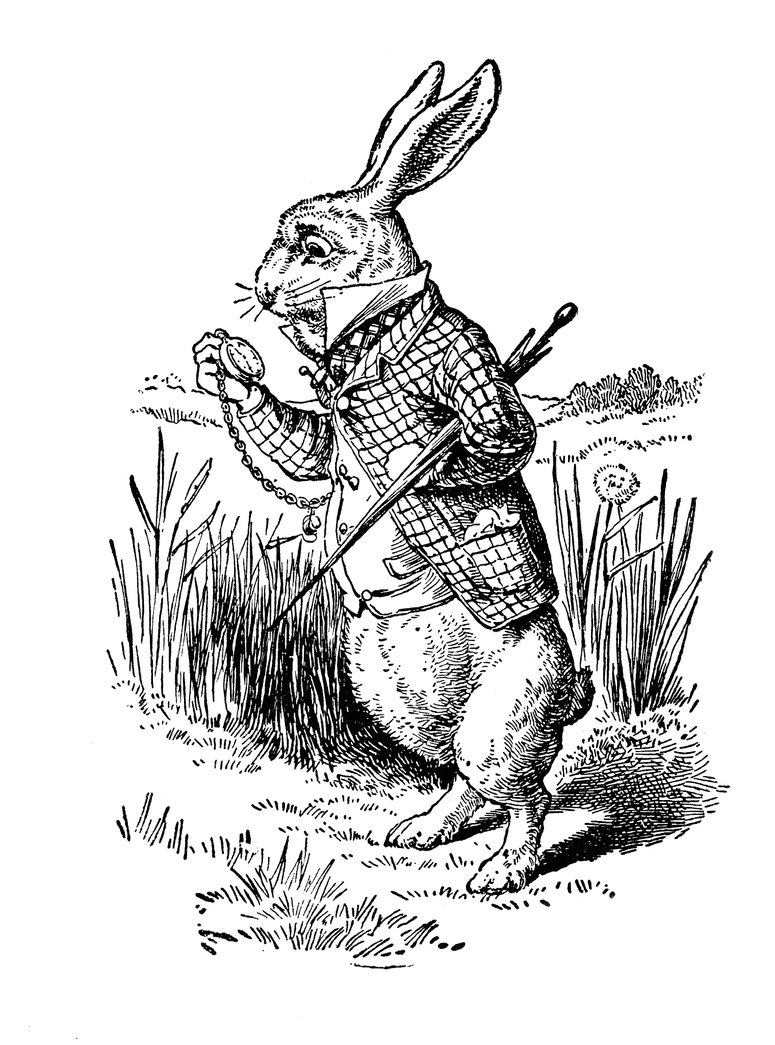 写一篇《爱丽丝漫游奇境记》第一章里精彩的句子