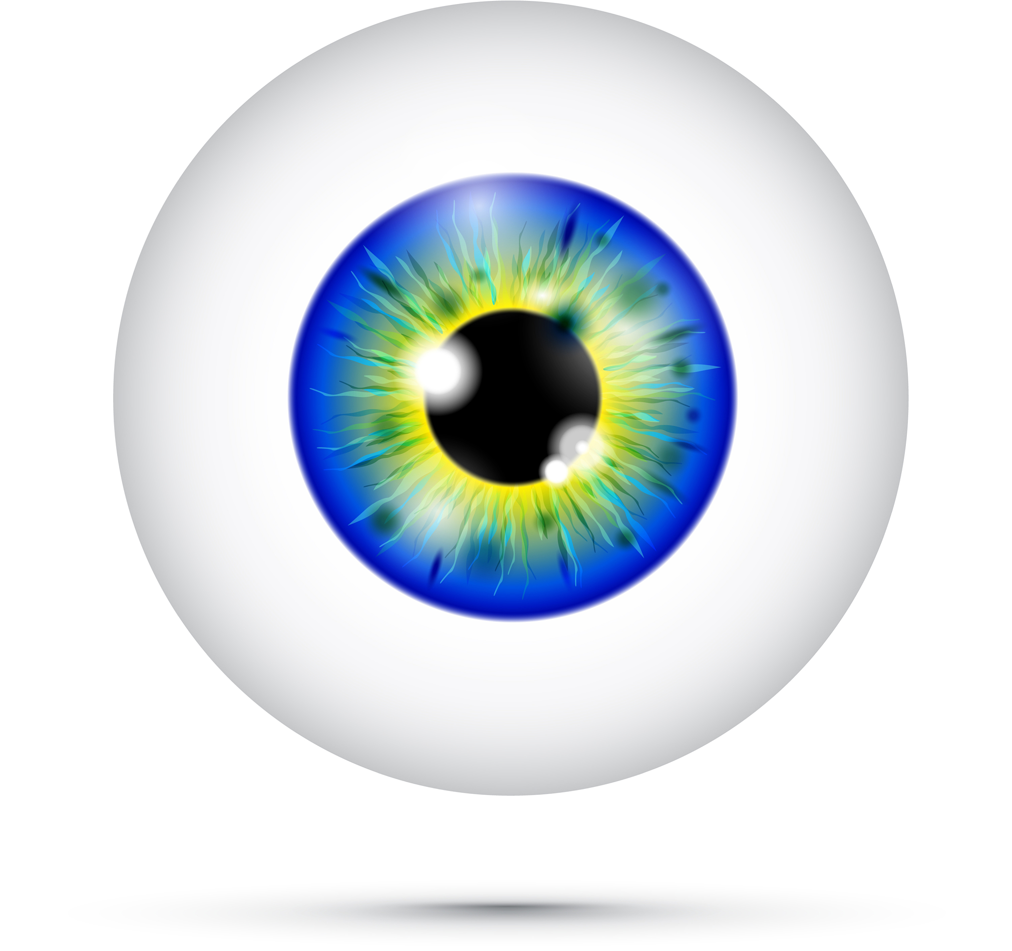 blue and green realistic eyeball