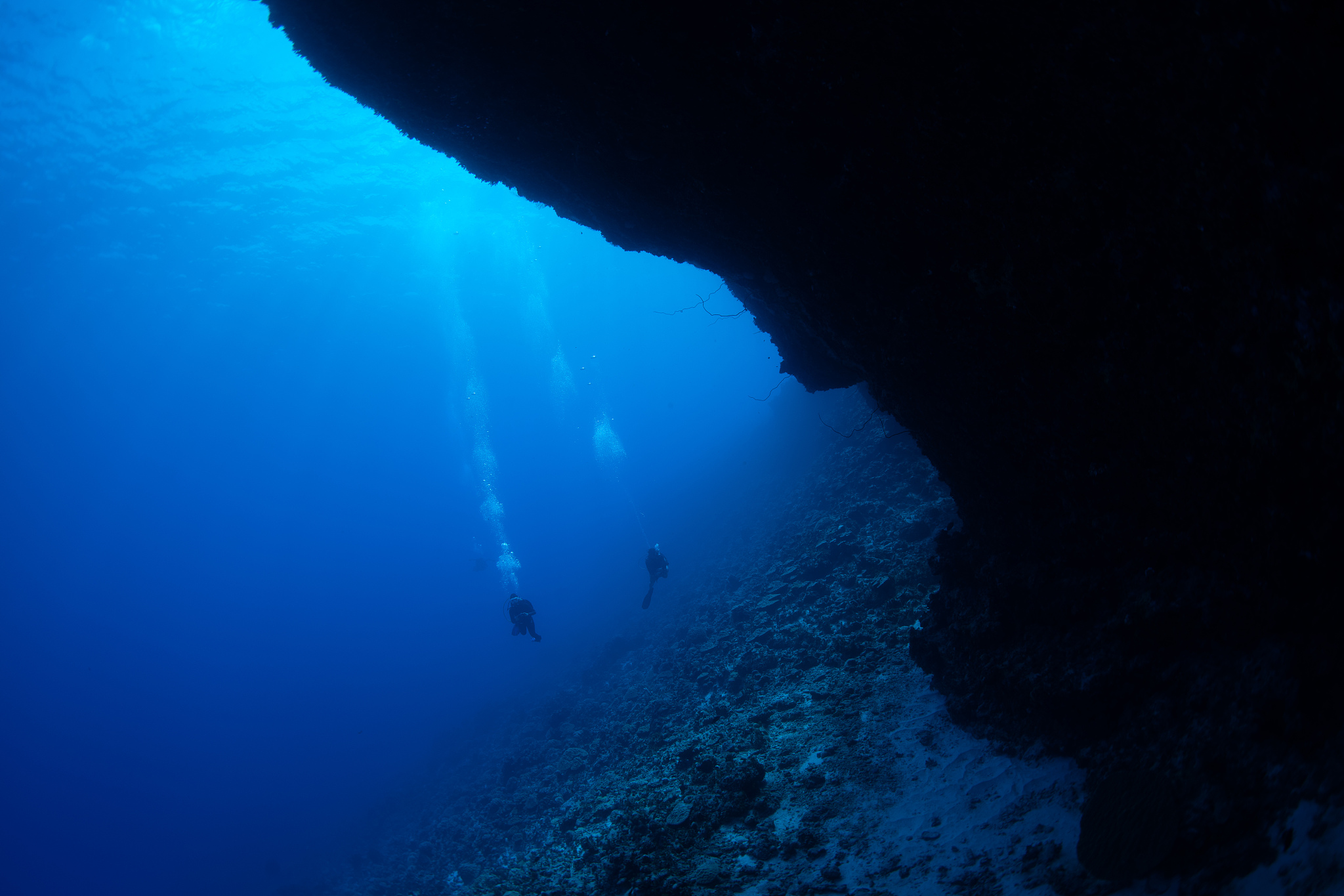 people swimming in sea