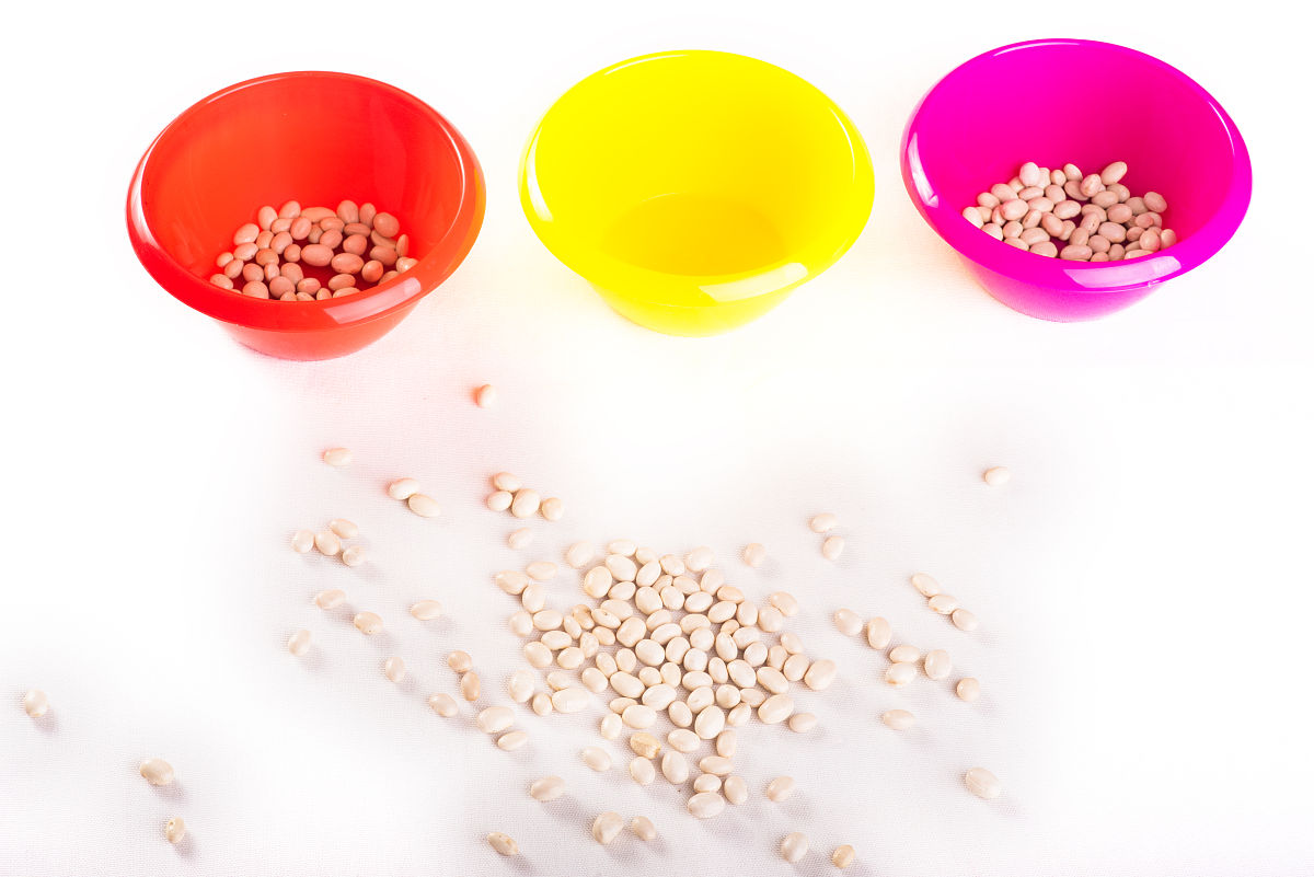 2019年重庆幼儿师范学校学前教育专业