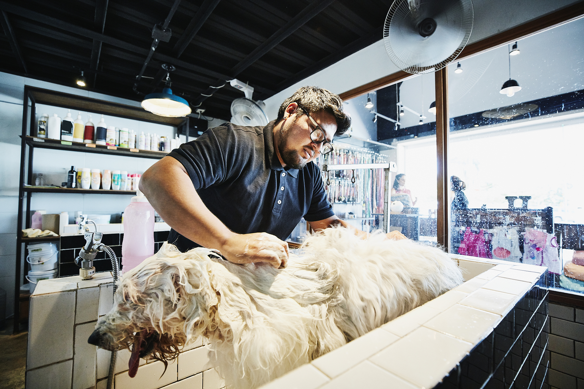 保定职业技术学院宠物养护与疫病防治专业怎么样都要学些什么