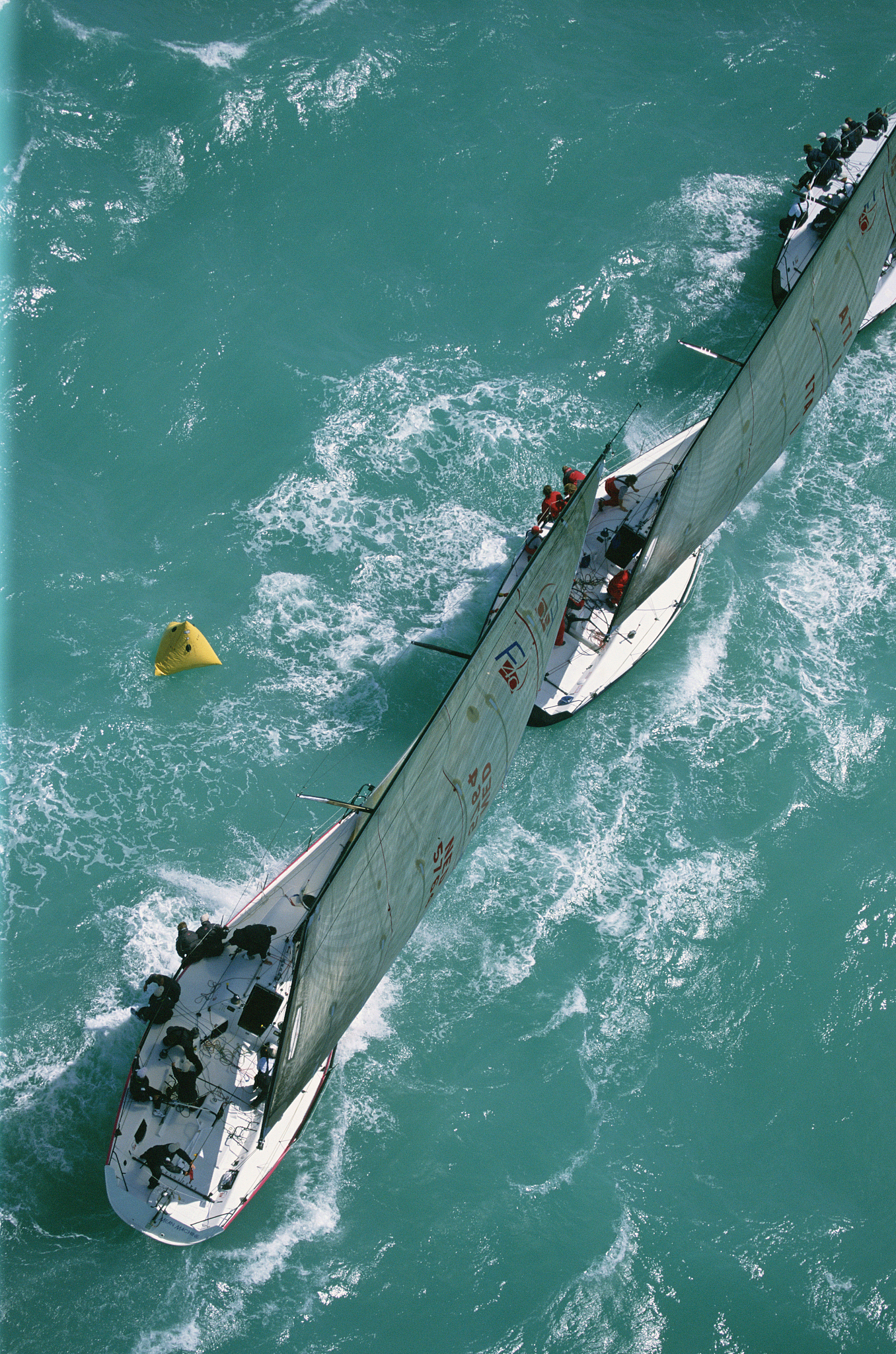 sailboat race