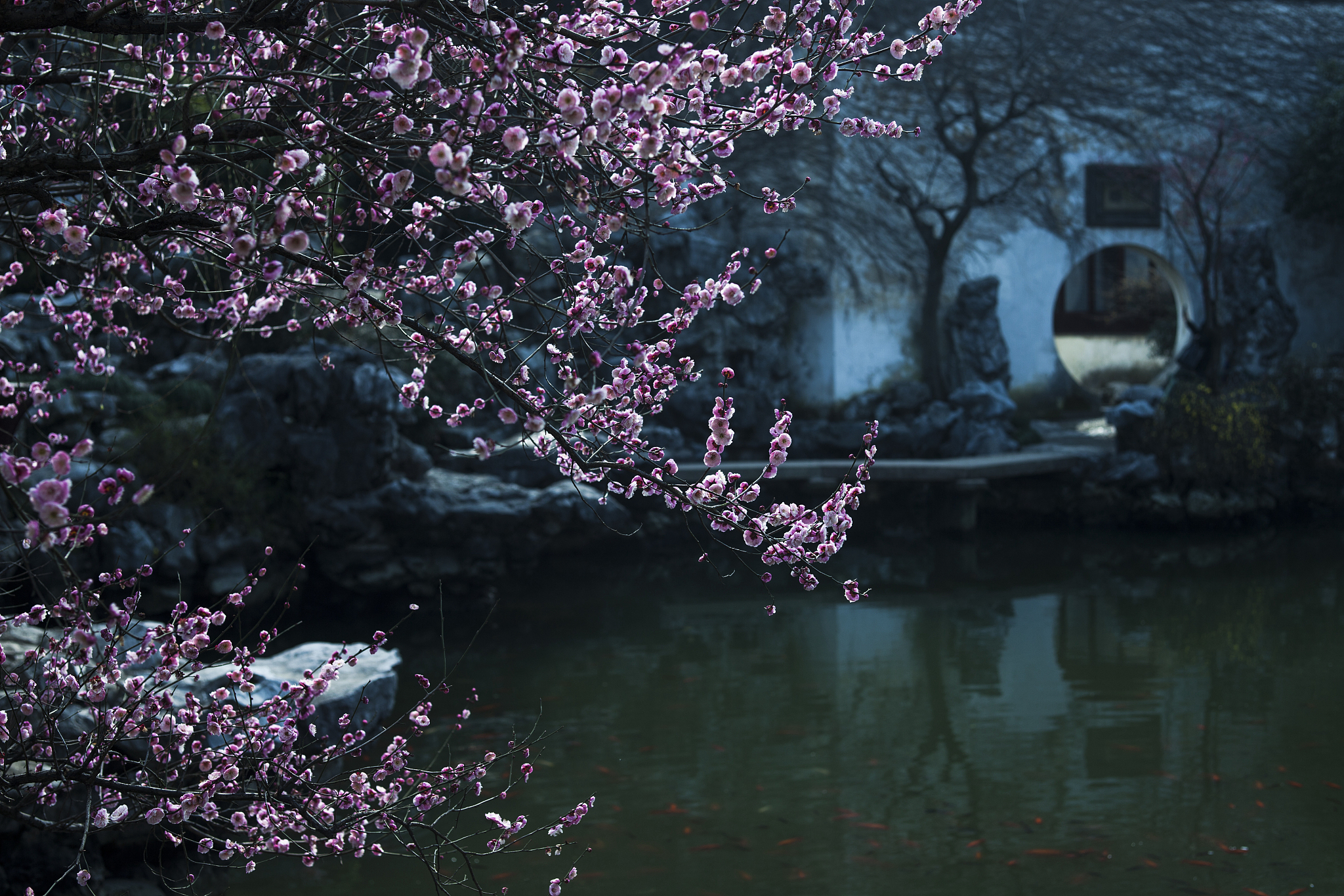 苏轼《惠崇春江晚景》桃花意象之美：生命力的象征