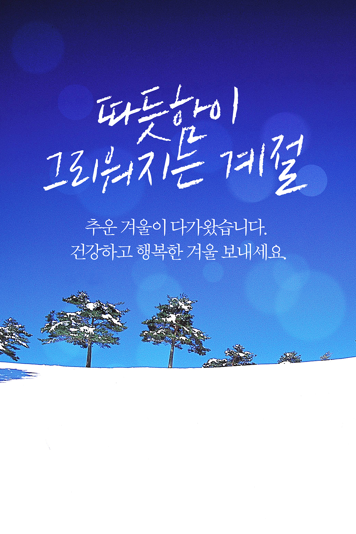 来一篇能引起所有人精神共鸣的情感语录260字