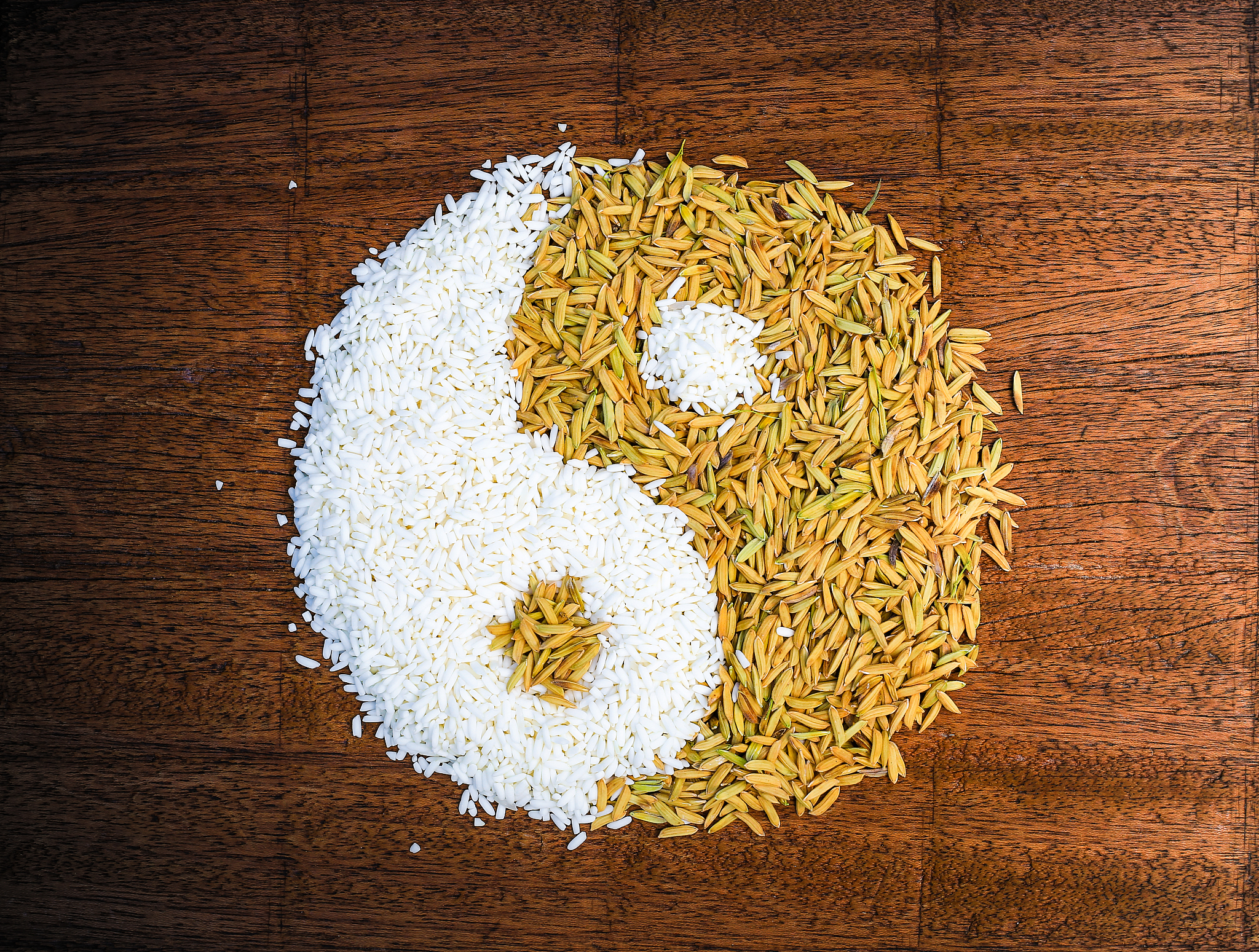 道教：中国传统宗教与哲学 | 顺应自然，追求长生