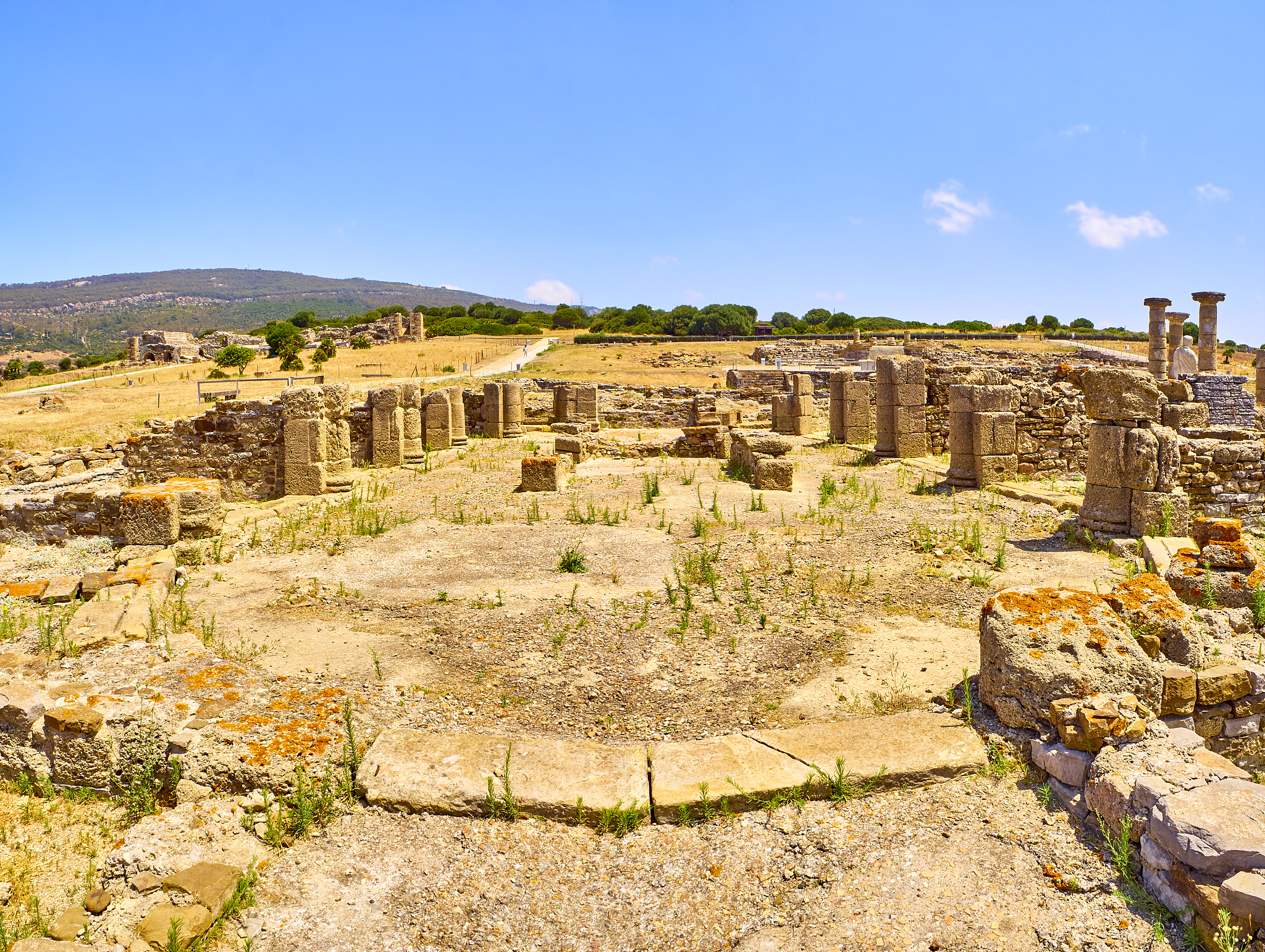 baelo claudia archaeological site. rate, cadiz, andalusia, spain
