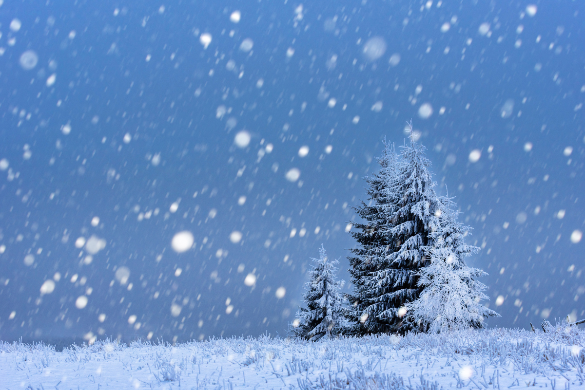 雪,是冬日的情书,轻轻地,从天空飘落,覆盖了大地的每一个角落