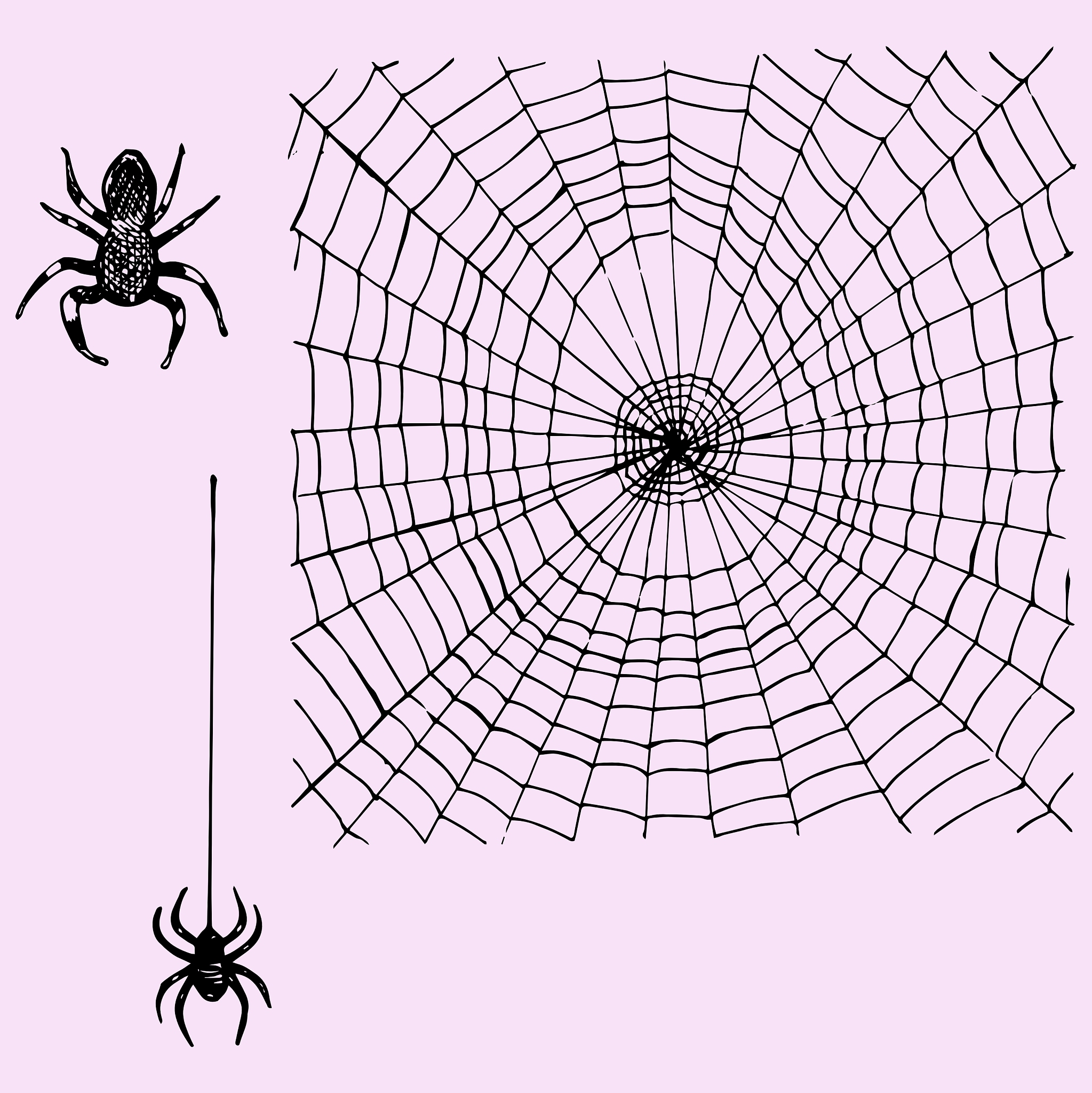 raise KeyErrorfSpider not found spider_name