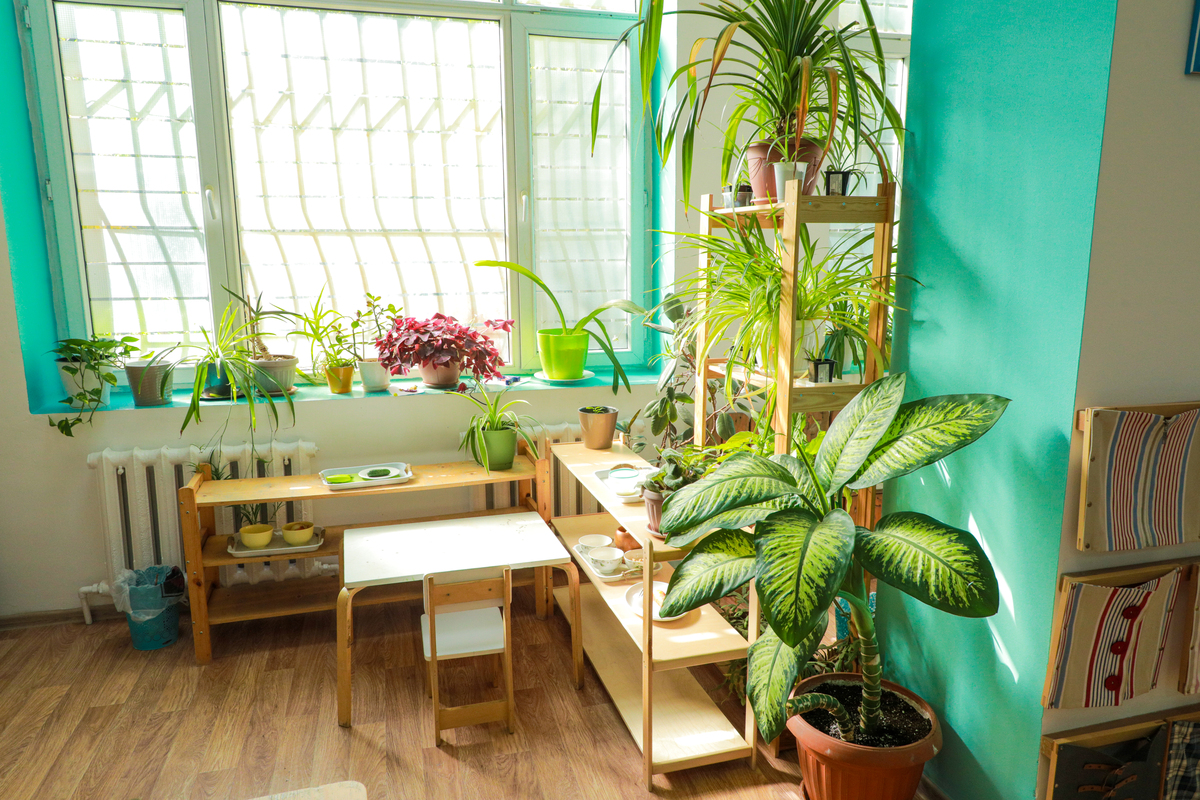 成华小学校班级阳台打造