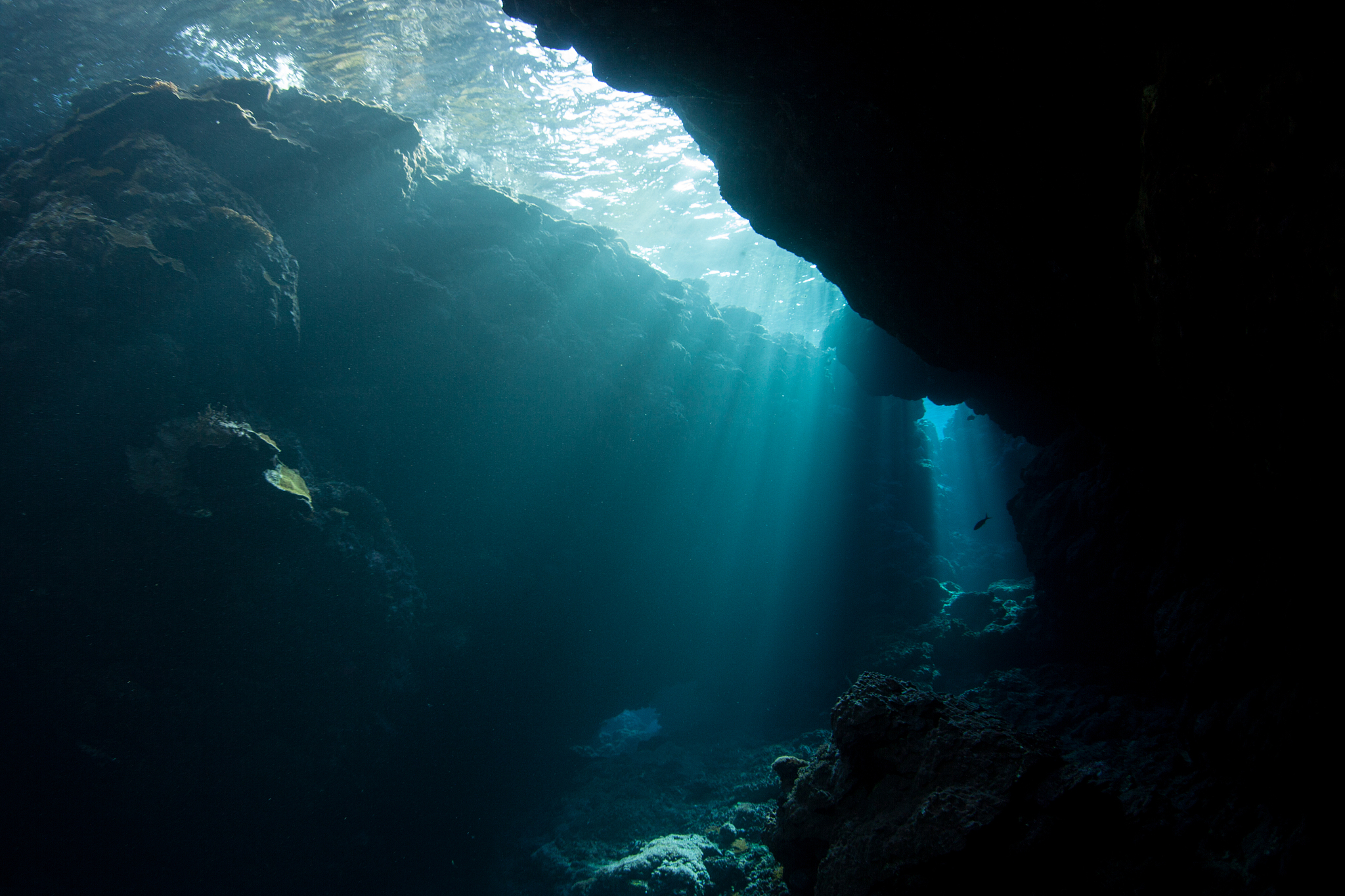 light and dark submerged crevice