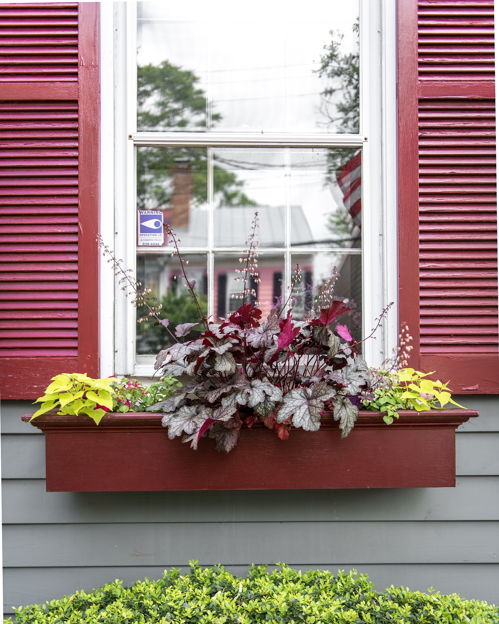 花箱和木栅栏优惠大放送：价格、定制、送货、赠品全都有！