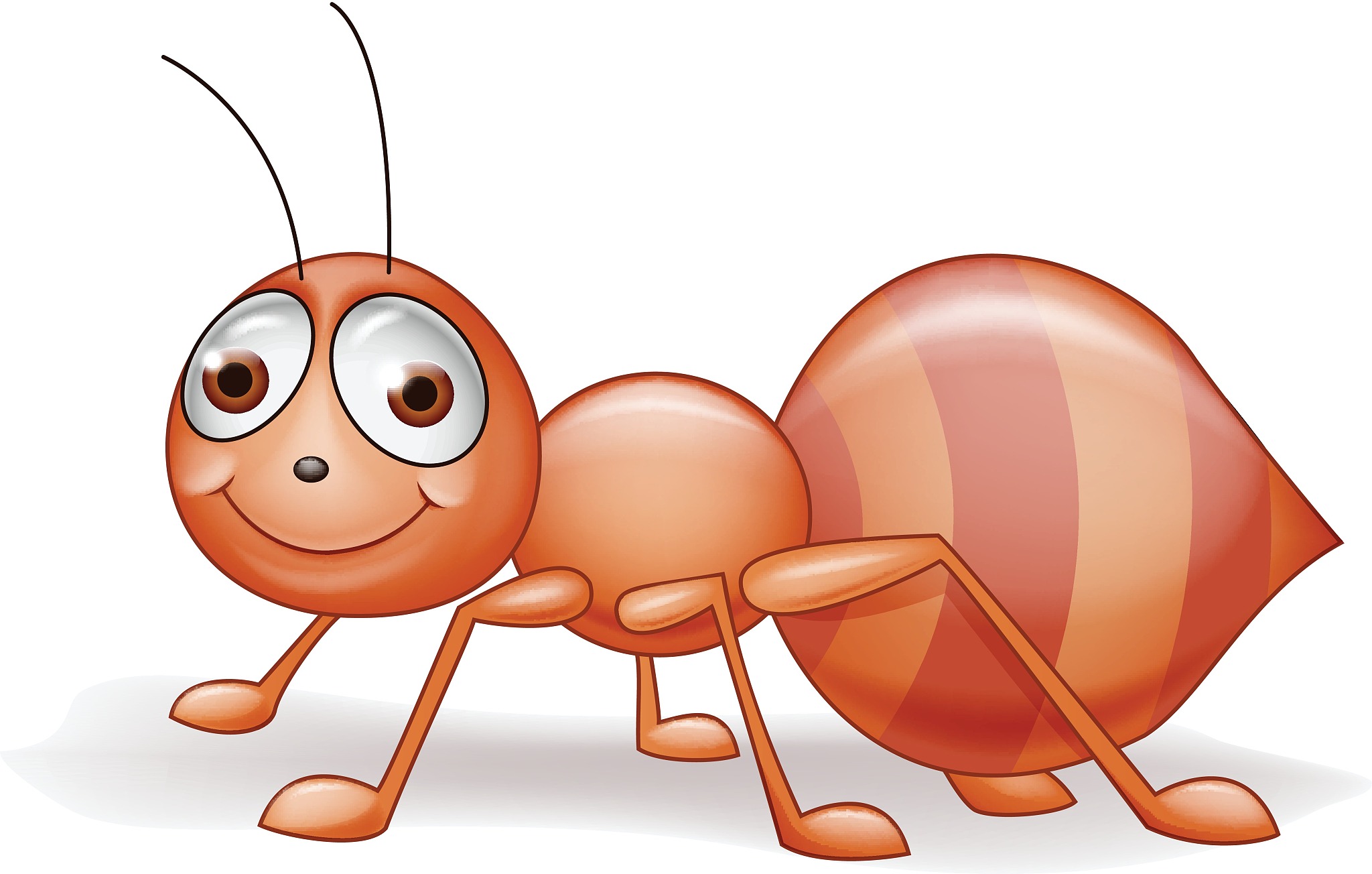 富阳董昭之与蚂蚁王：积德行善，莫以善小而不为