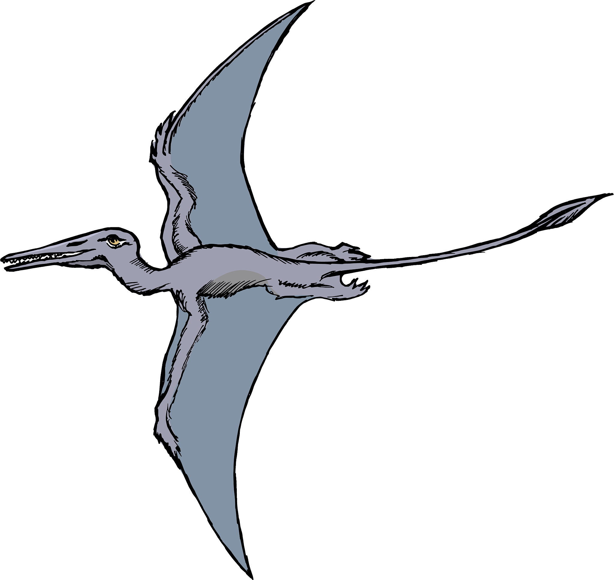 apakah bisa mendownload puppeteer di panel pterodactyl