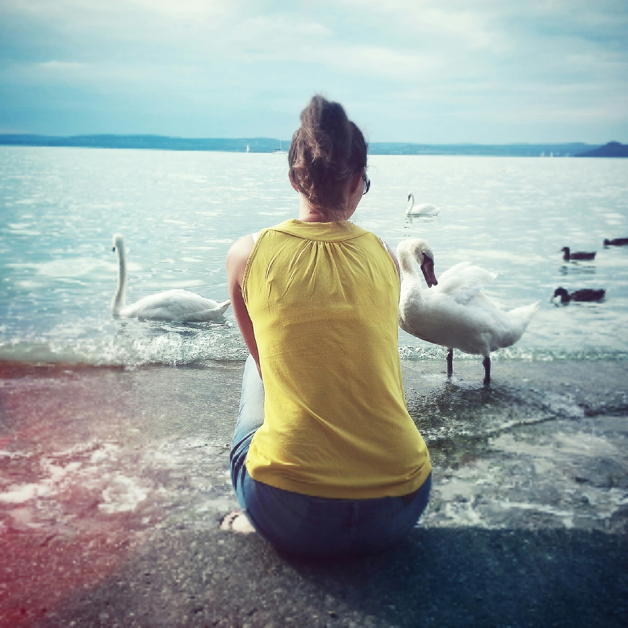 rare view of woman sitting at riverbank with birds swimming agai
