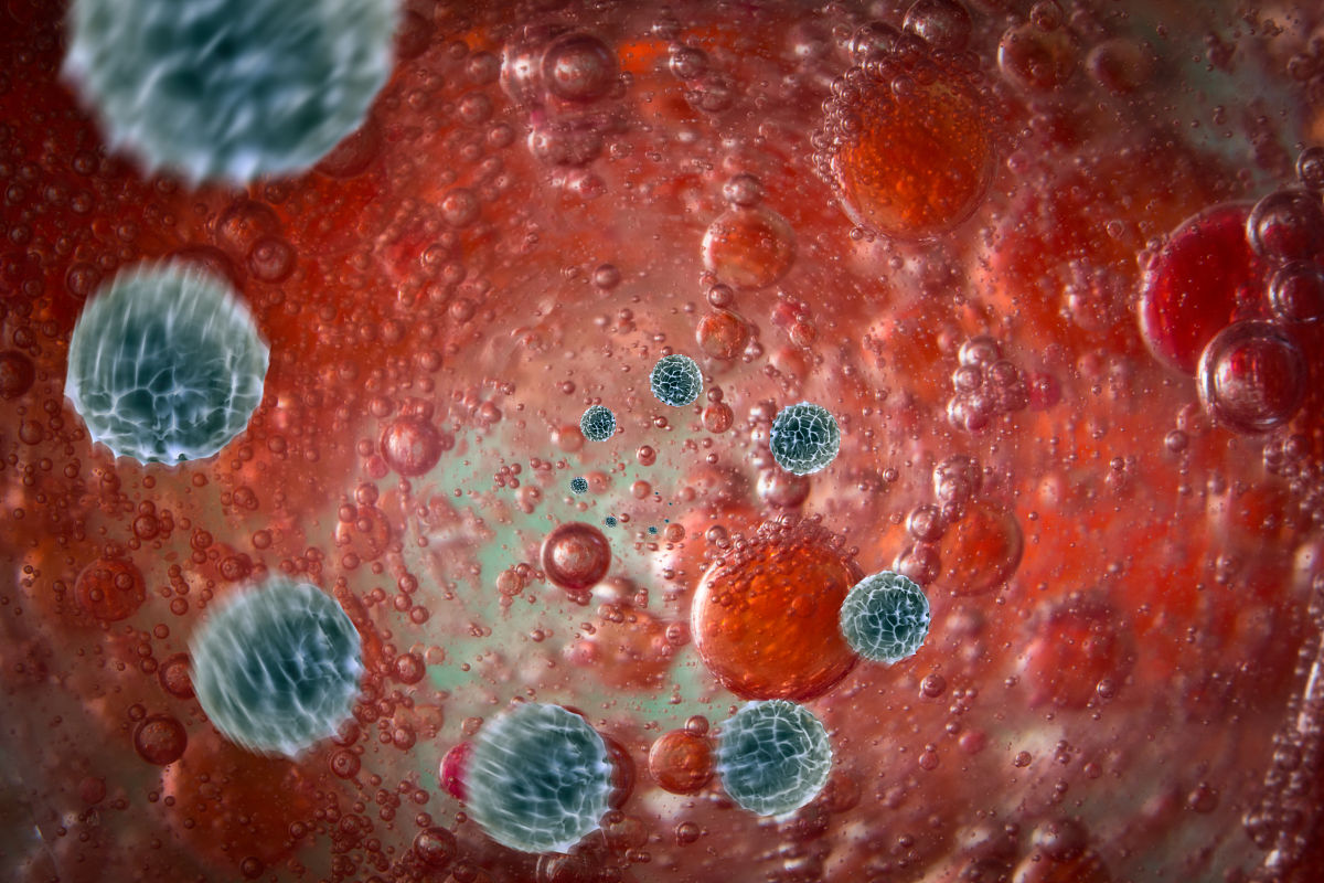 细胞信号传导介入解决的细胞问题：从增殖到应激