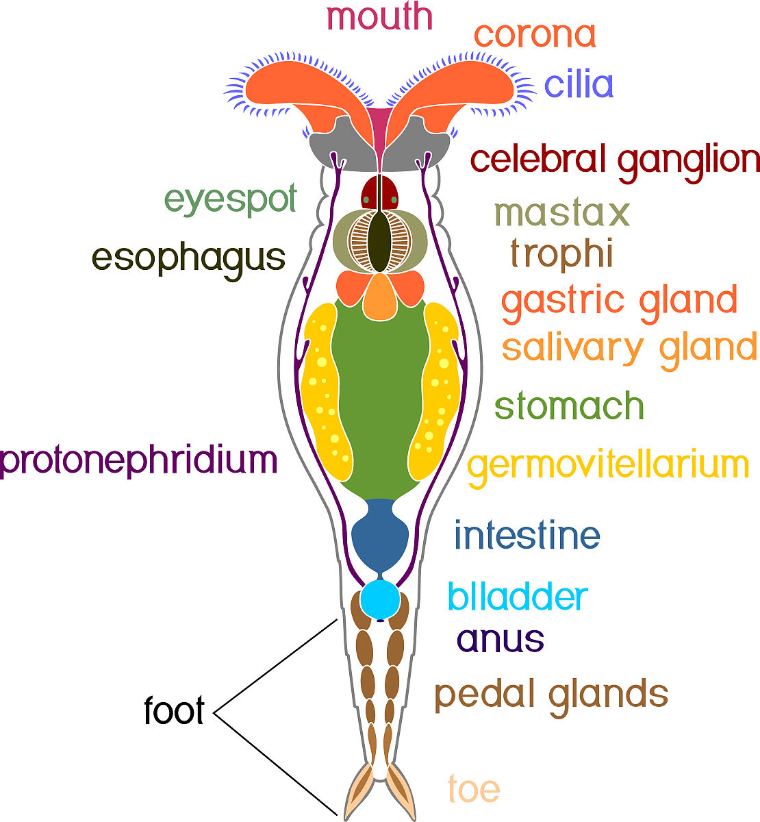上海市农业学校动物科学技术系简介