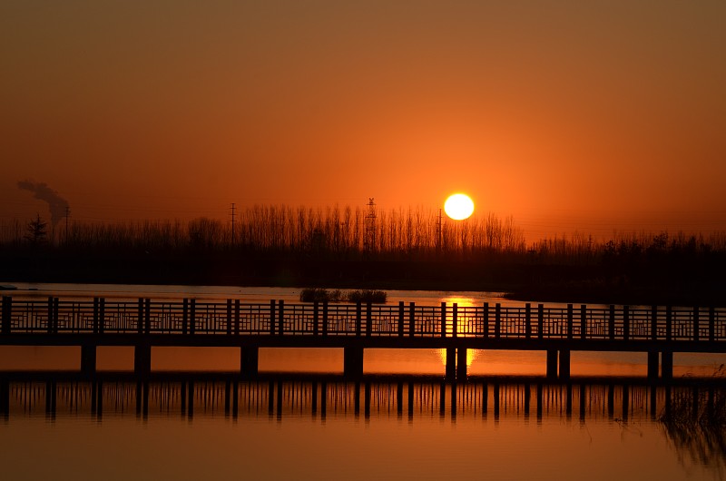 山东济宁艺术学校招生办联系电话