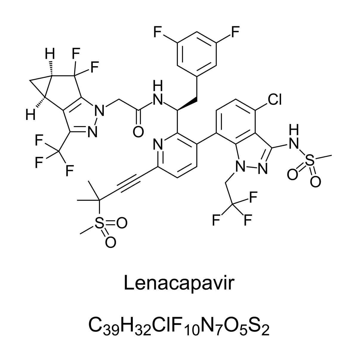 Cell Incorporation in Hydrogel for HEO and EO Complexes
