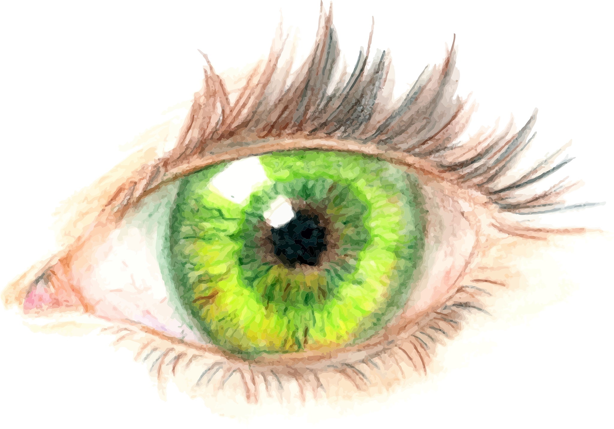 the eye