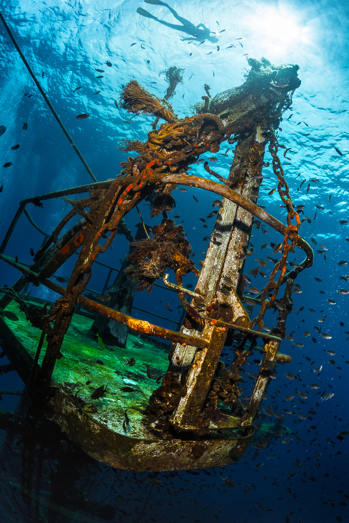 shipwreck with fish