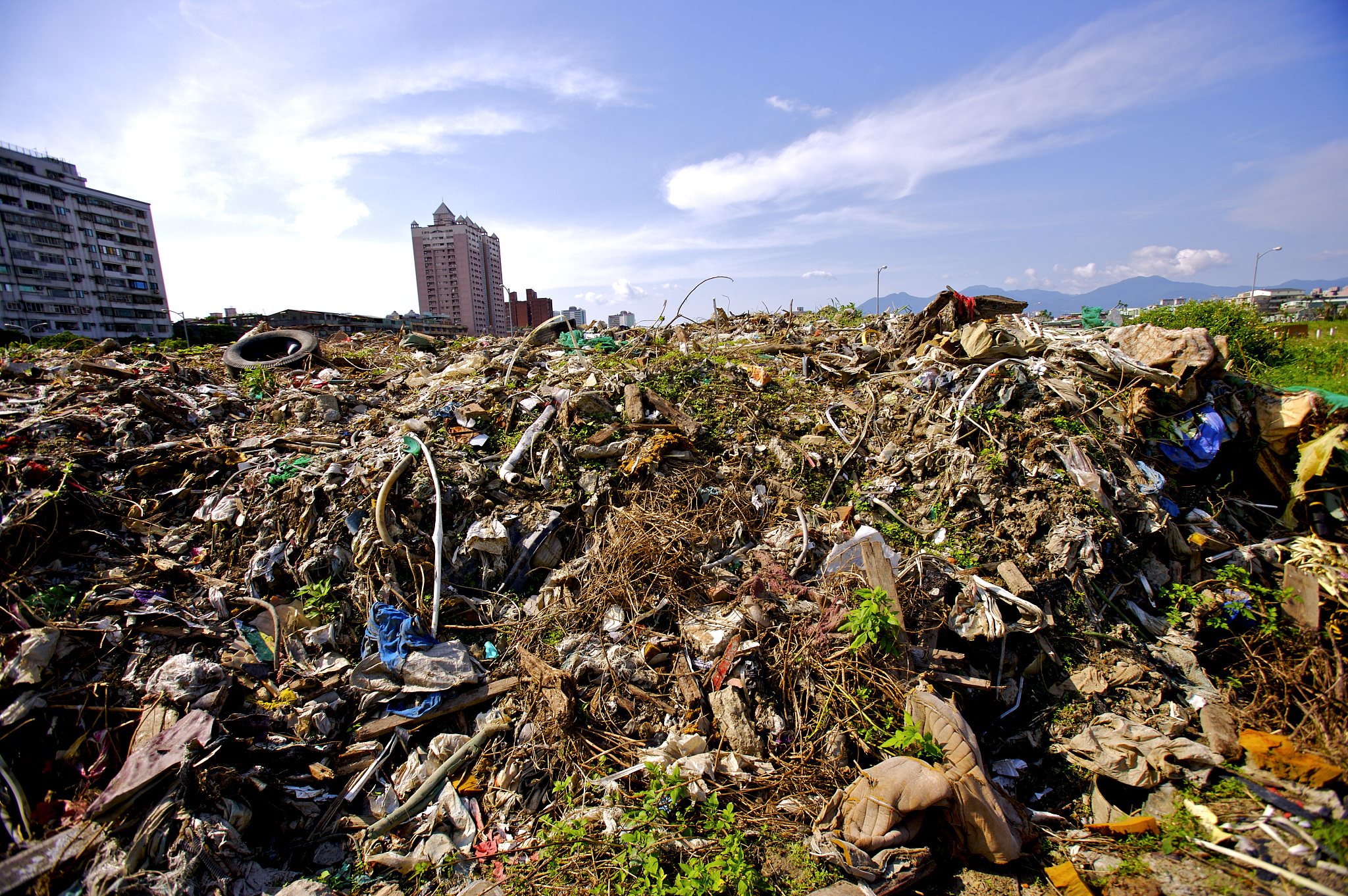 富国企业应该将废弃物倾倒在穷国吗？：一个有争议的观点