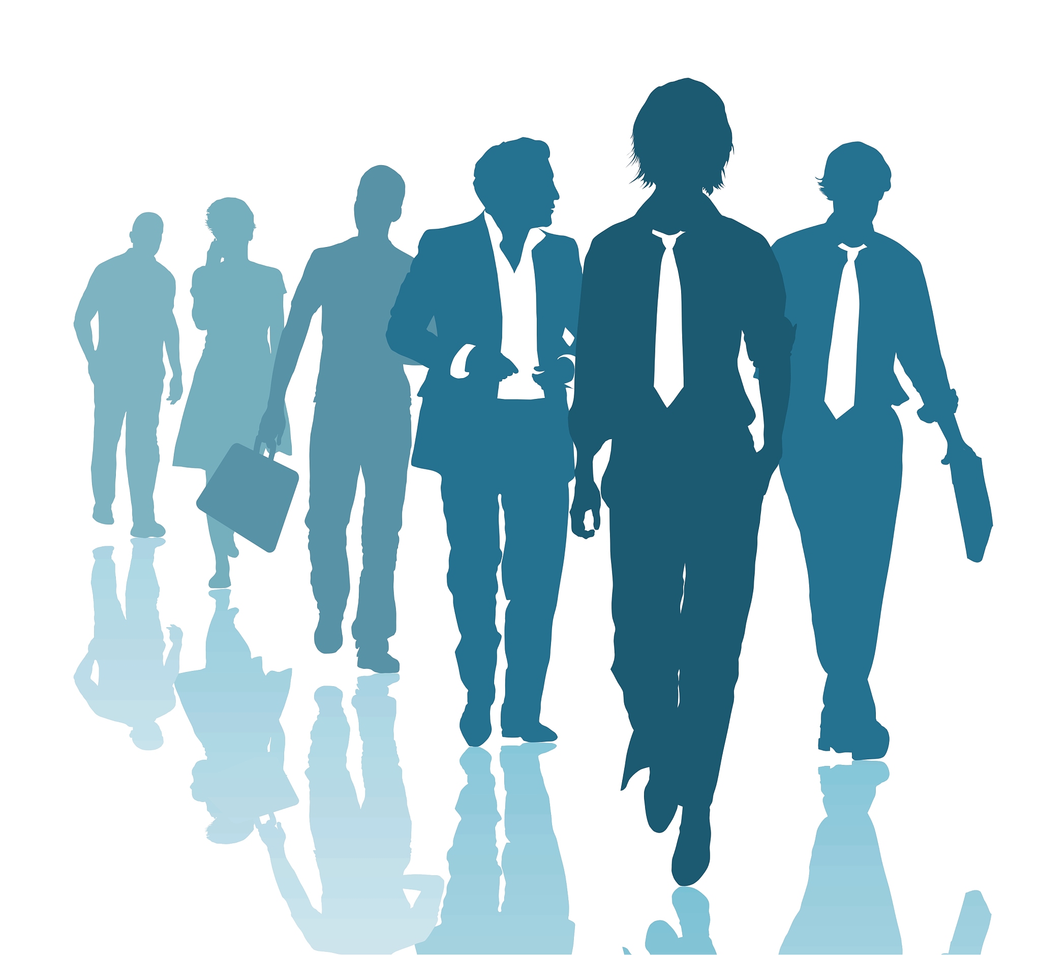 简述销售队伍配备的过程