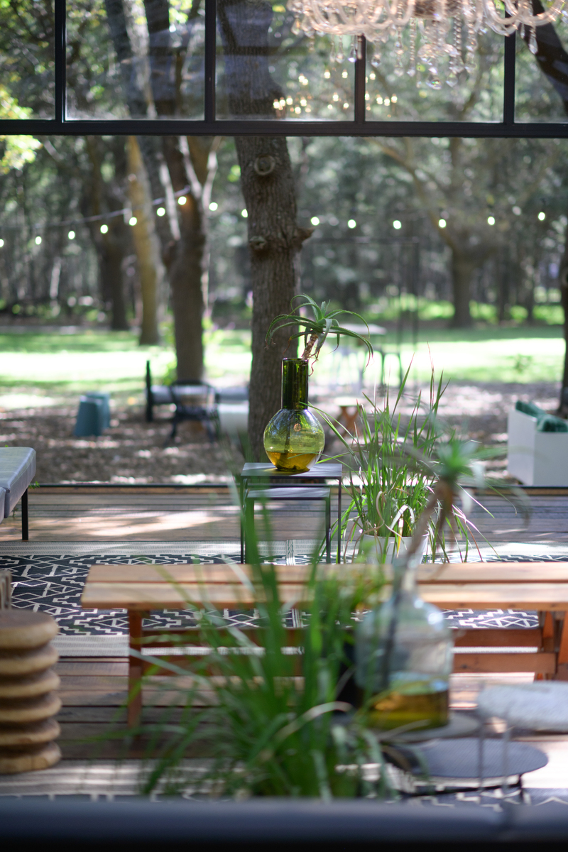 请把下面这句话翻译成中文light filtered into my ketchen through the soft green shade of the trees