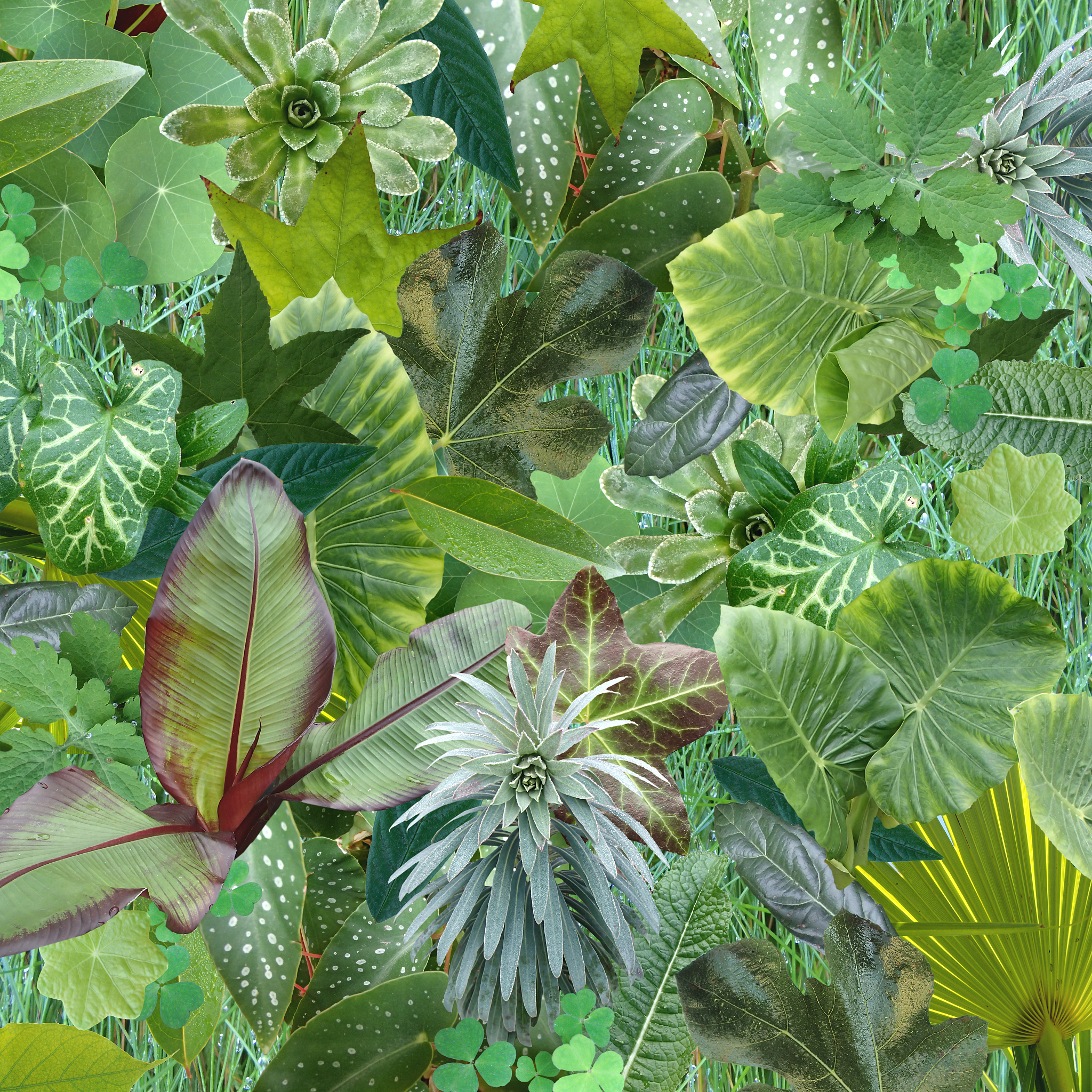 green luxuriant fresh garden leaves background
