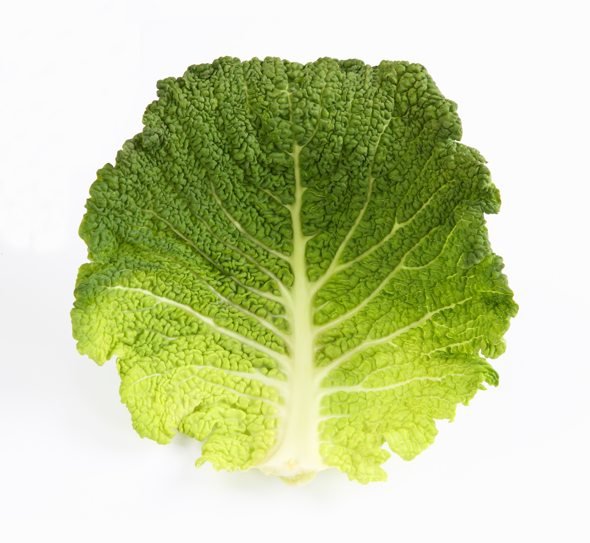 绿叶蔬菜能延缓大脑衰老，相当于年轻19岁！