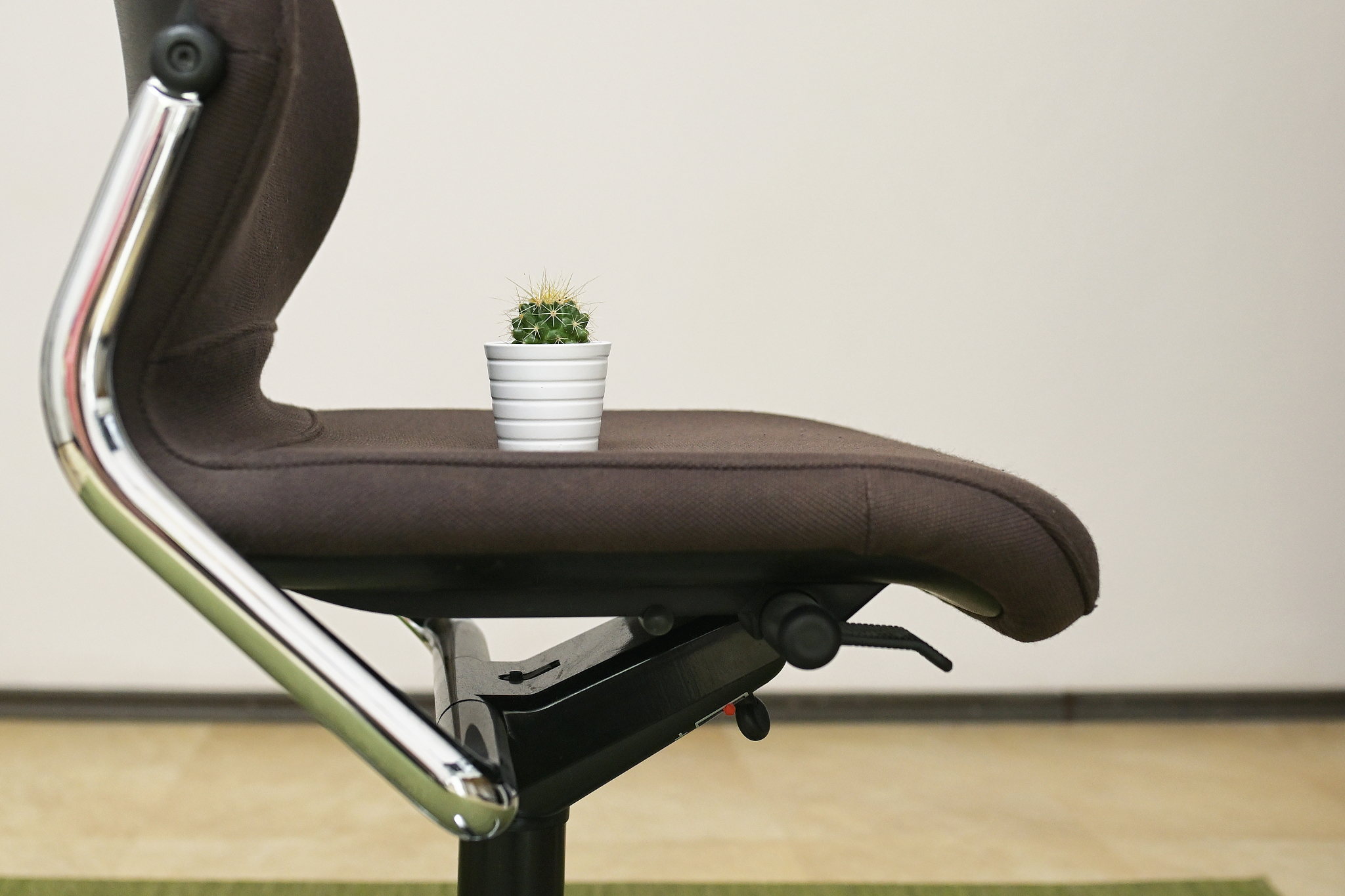 hemorrhoids concept with thorny cactus on chair