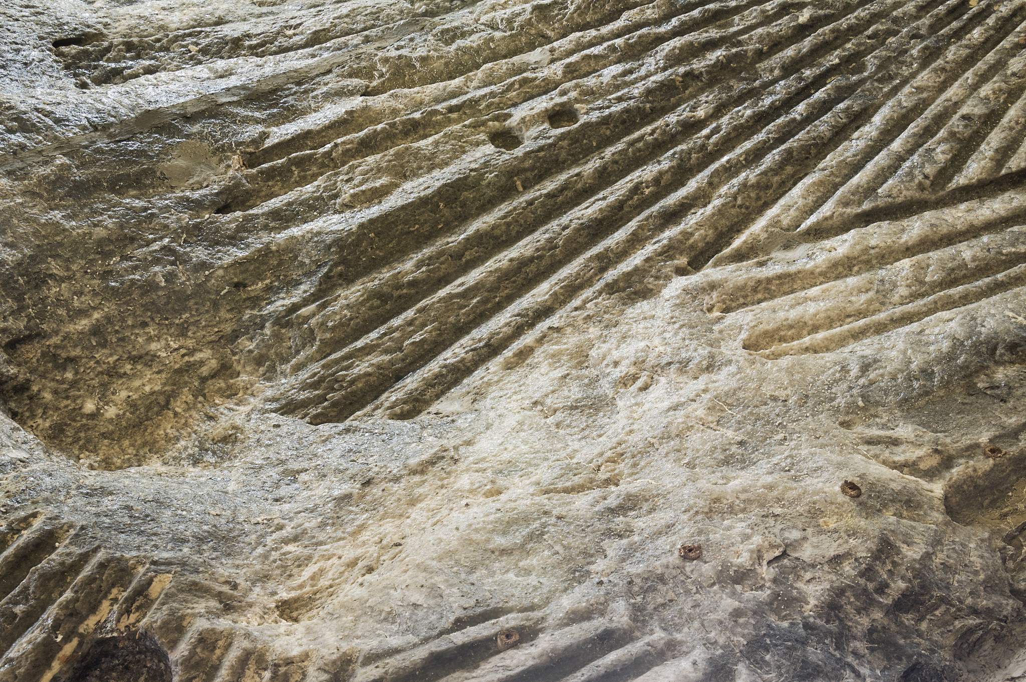 江西盐业公司是一家什么公司