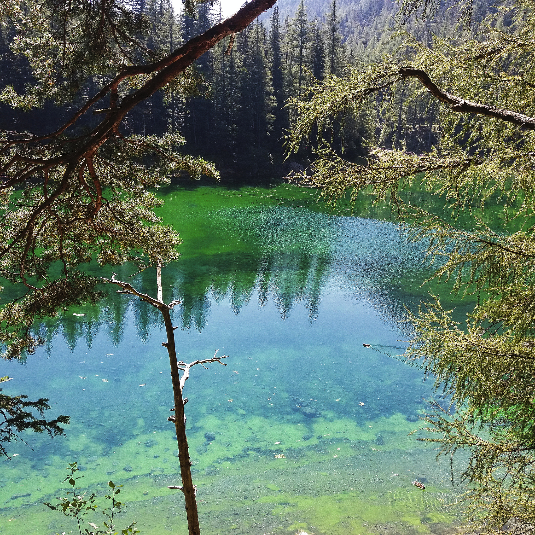 优美诗歌：自然之美，心灵的宁静