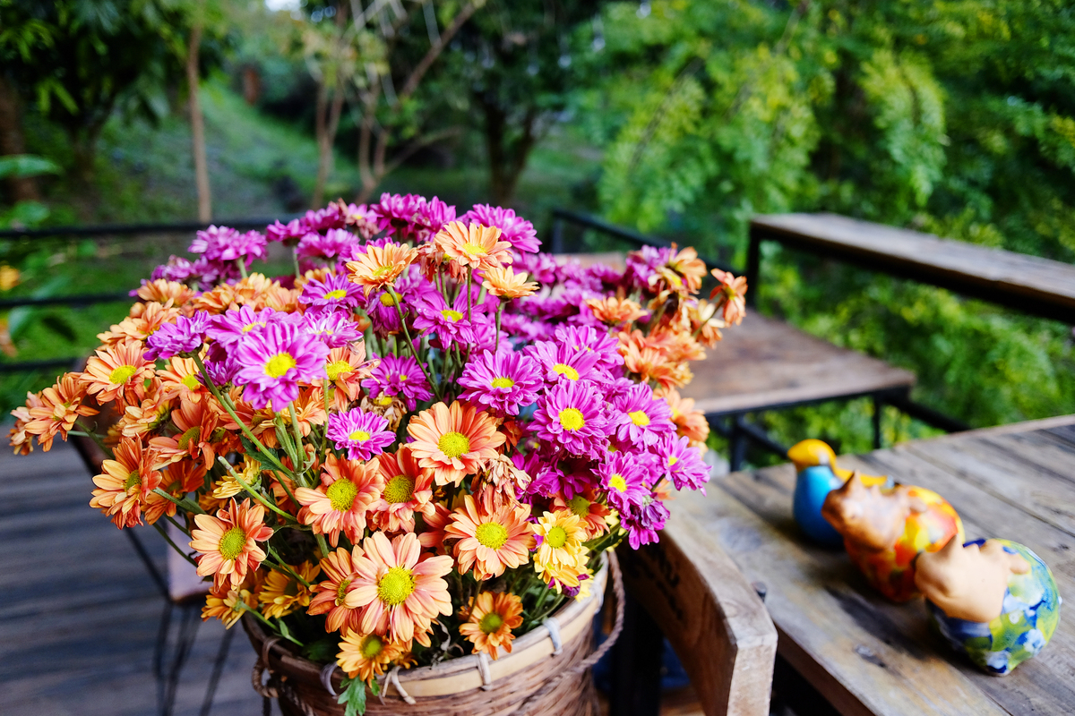 写一个关于热爱生活热爱鲜花有仪式感以花路为中心象征美好的生活情趣对生活的热爱祝愿人们能往后的日子向阳前进一切顺利过上繁花似锦的生活的创意文案