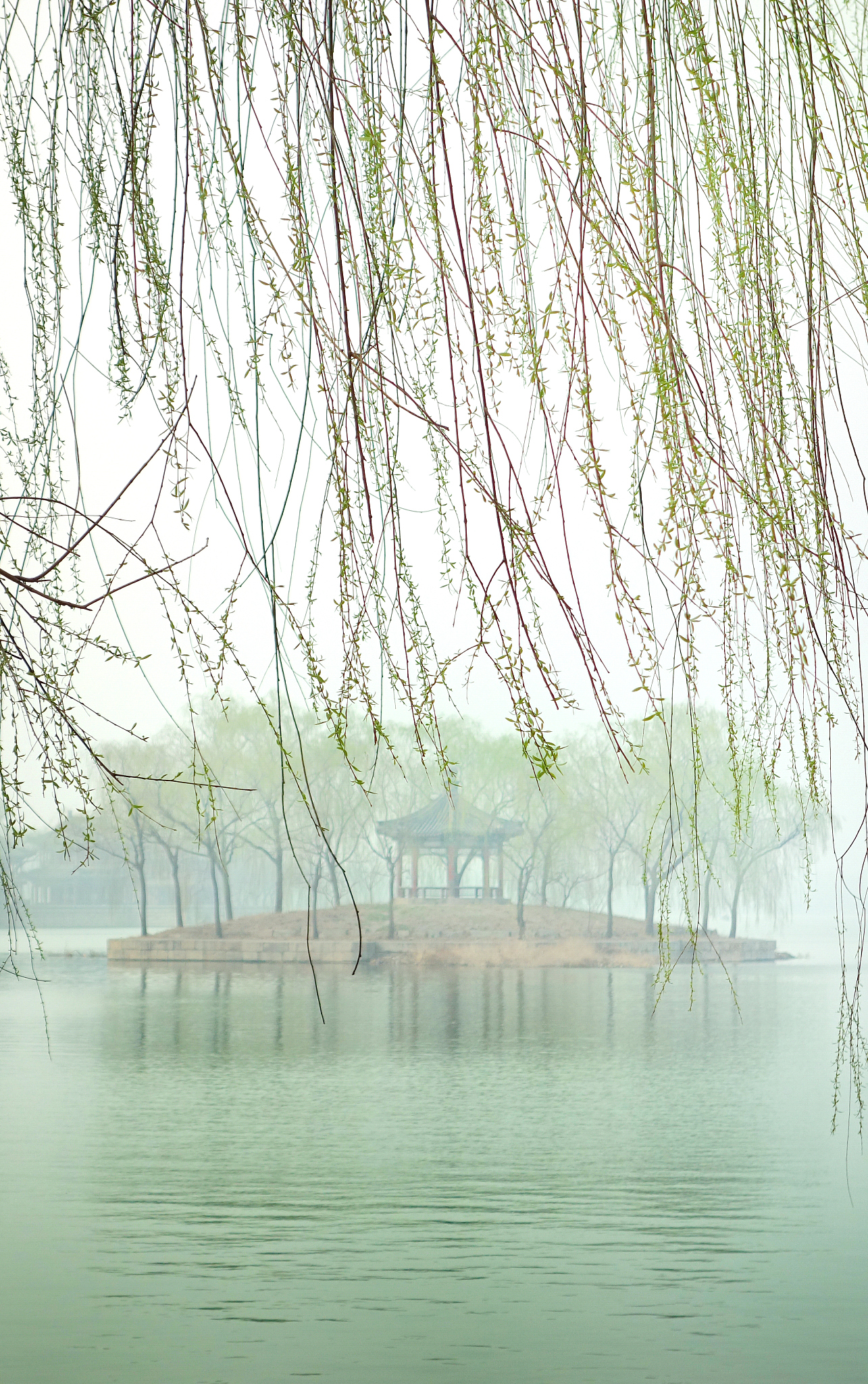 诗词赏析：何所依？春水温湖畔绿柳垂，晚风吹拂彩霞绕