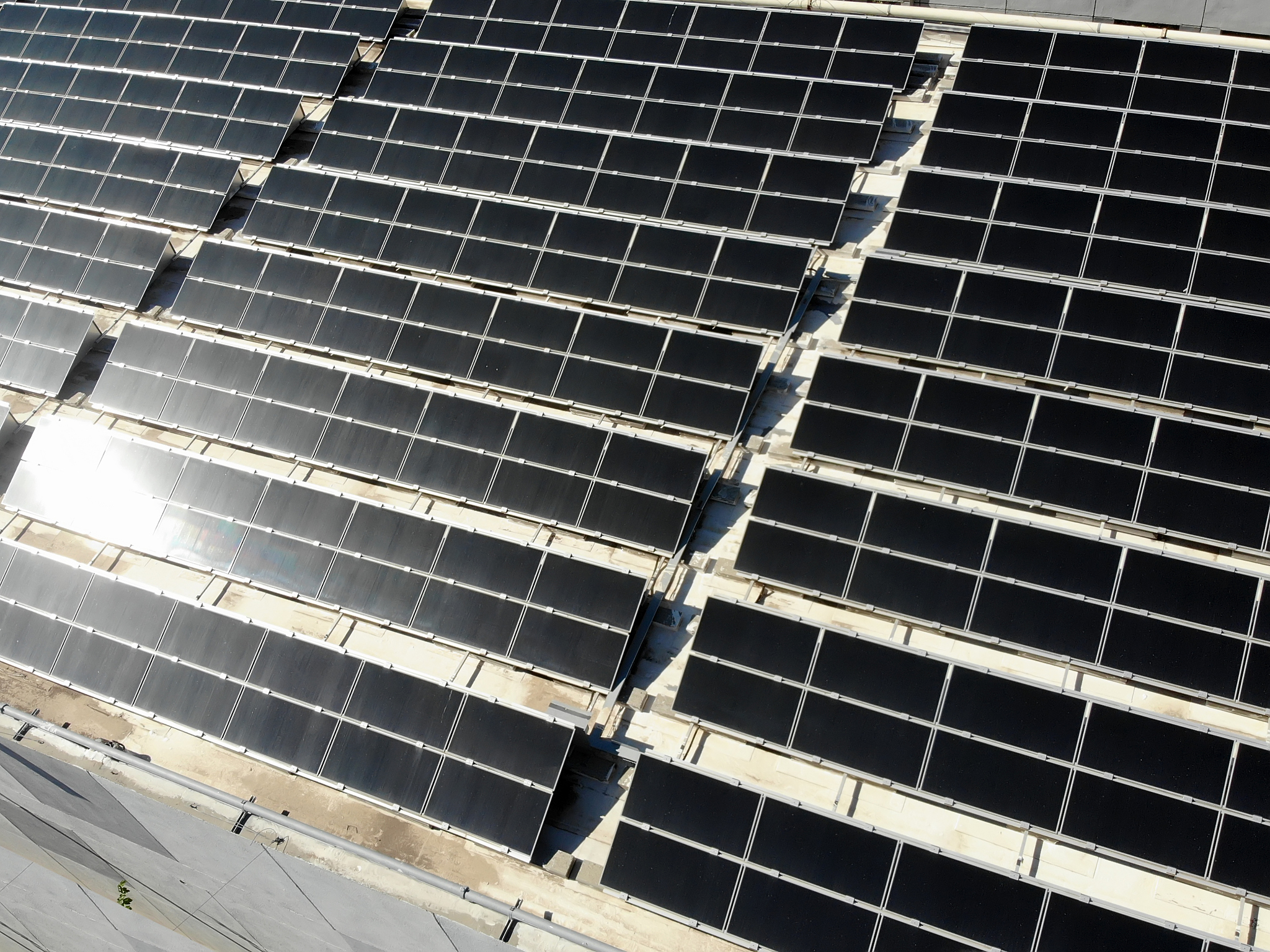 黑色美学光伏组件市场分析：趋势、竞争和未来展望