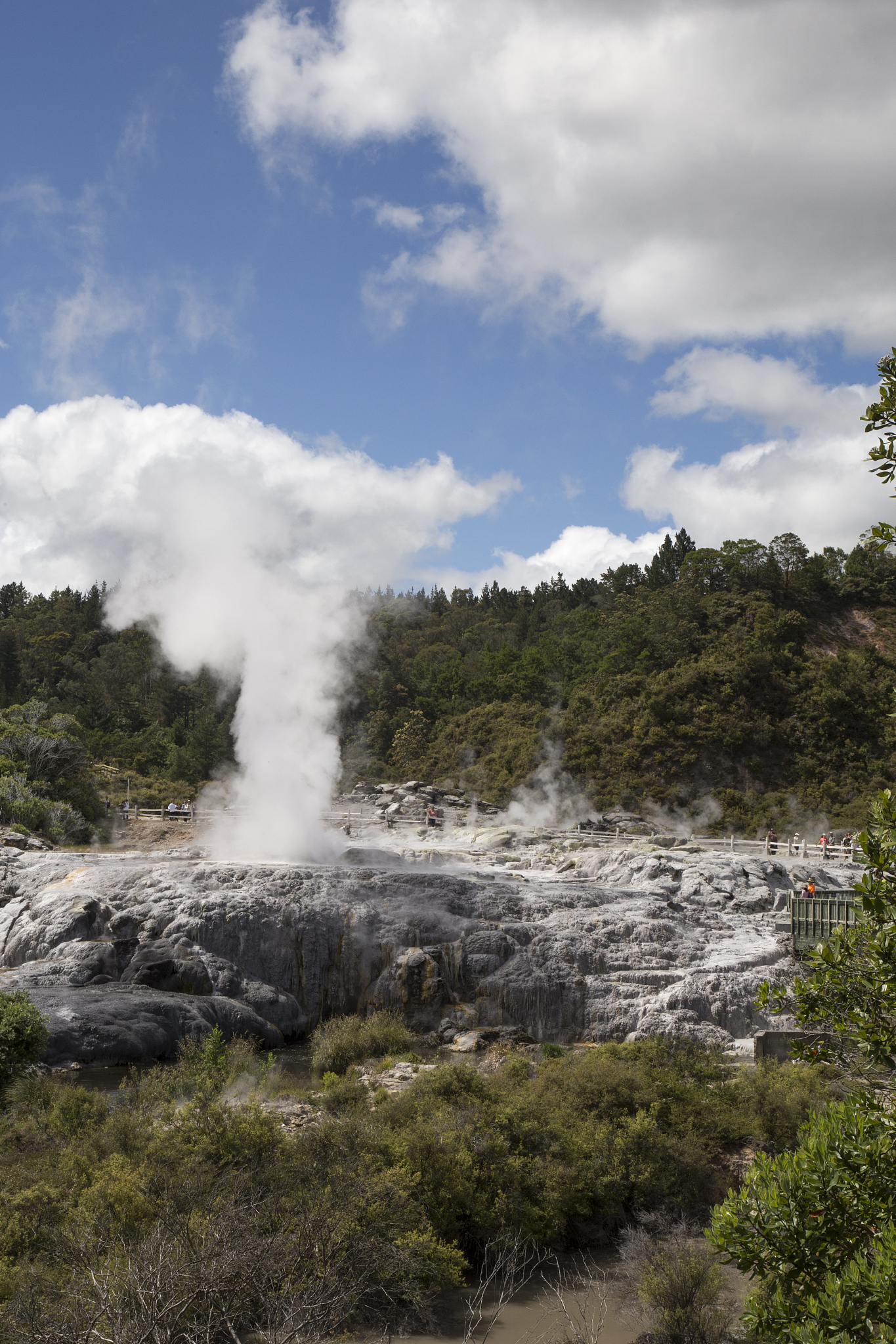 visitors looking at erupting geyser at te puia geothermal park