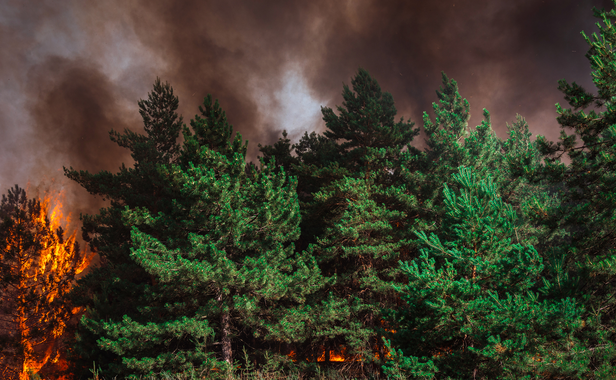 Spain Forest Fire Evacuation: Explanation of Key Words and Phrases