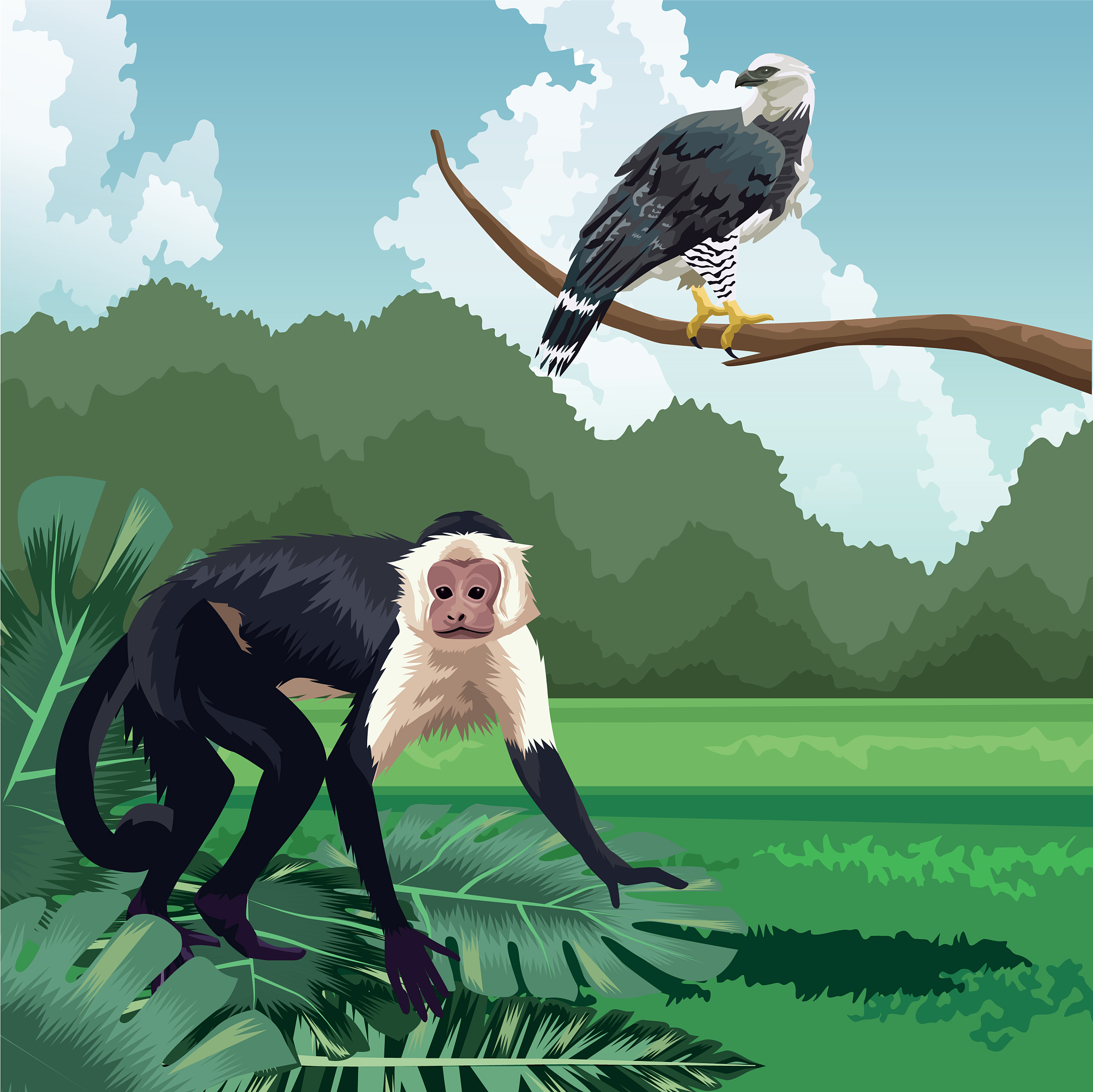 Para 1 Many bird species including those of early successional habitats and those of small tree-fall gaps within mature forest select disturbed habitats during some portion of the year Hunter et al 20