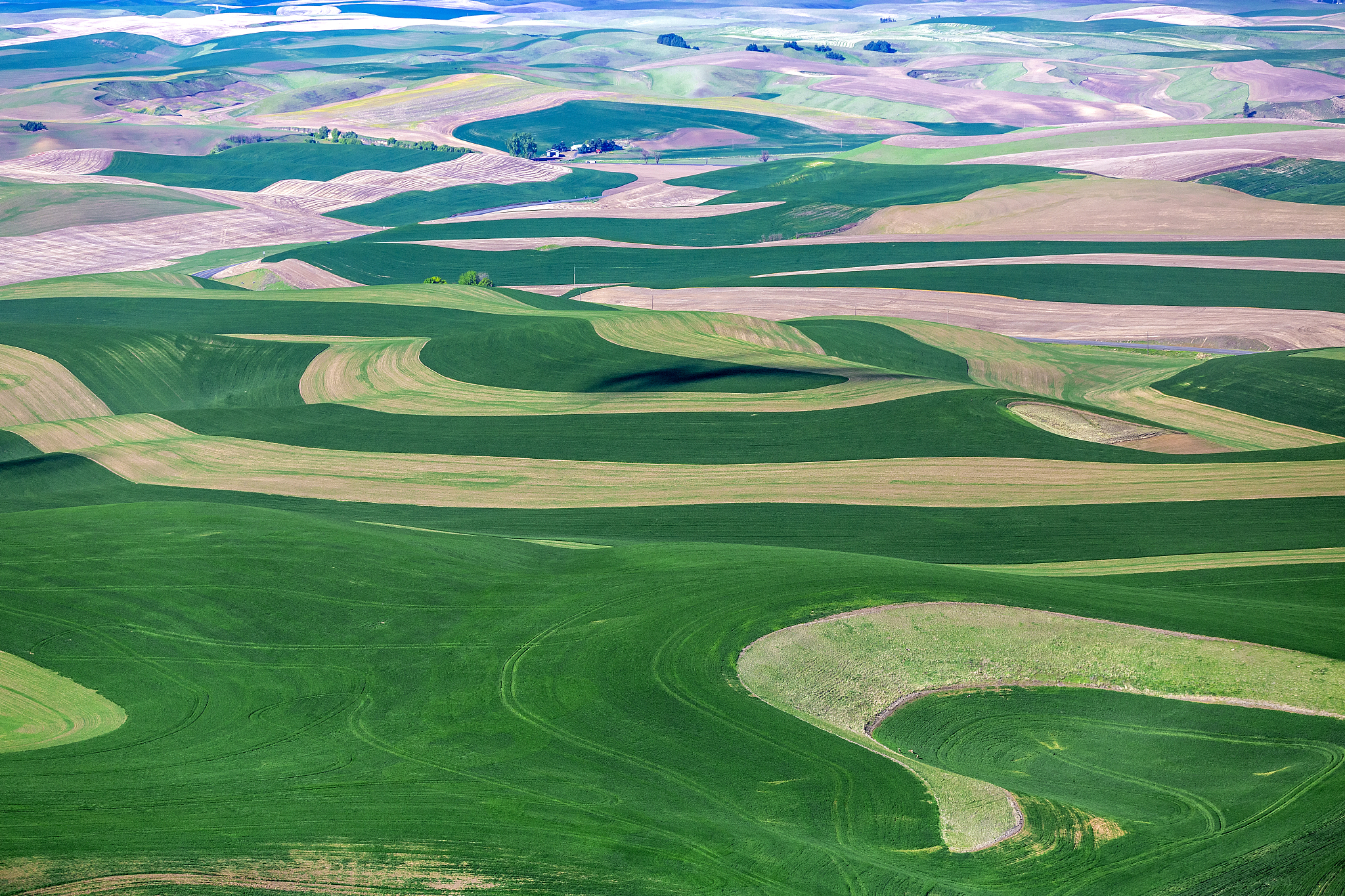 aerial view of wheat fields with patterns in palouse, washington