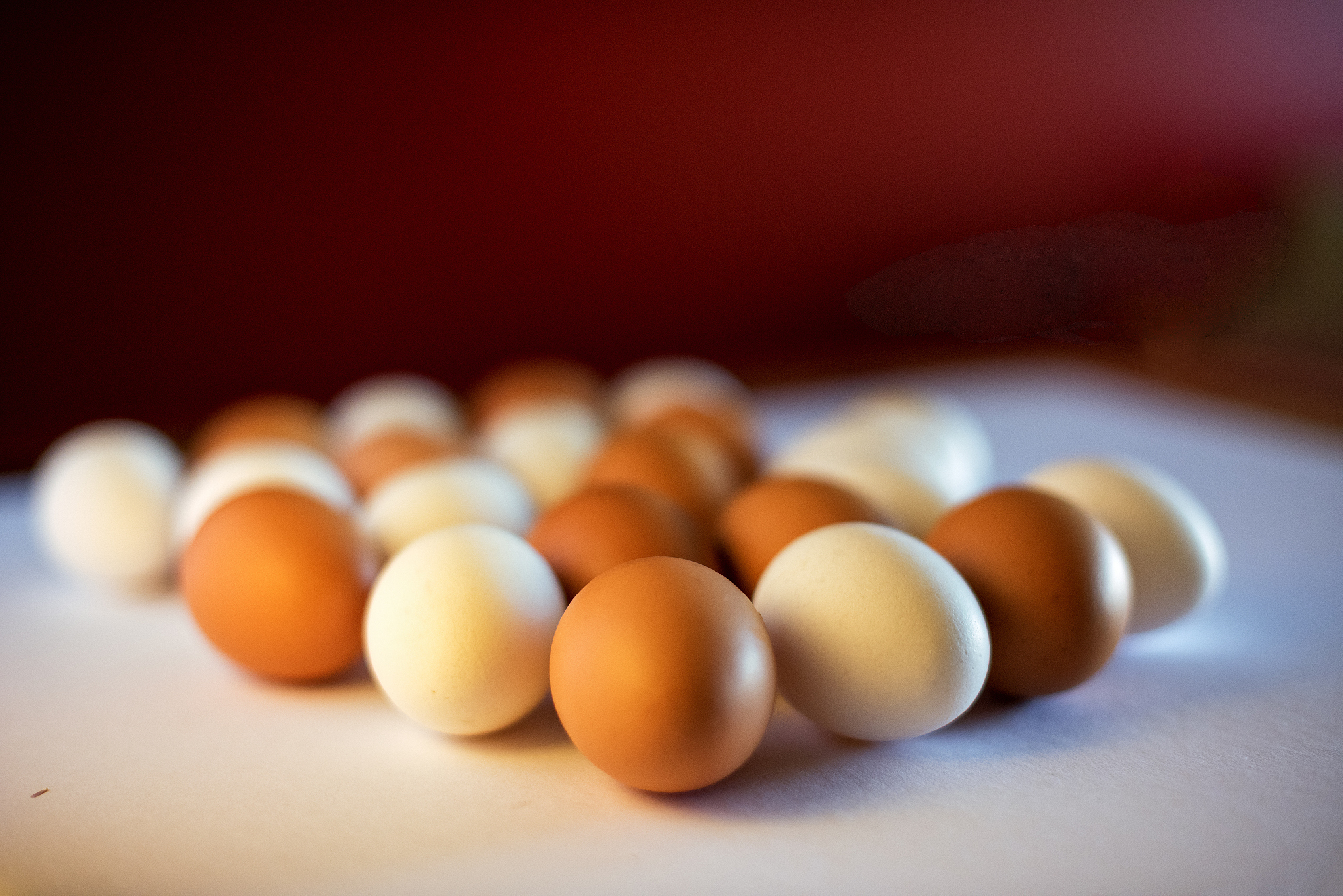 photos eggs together