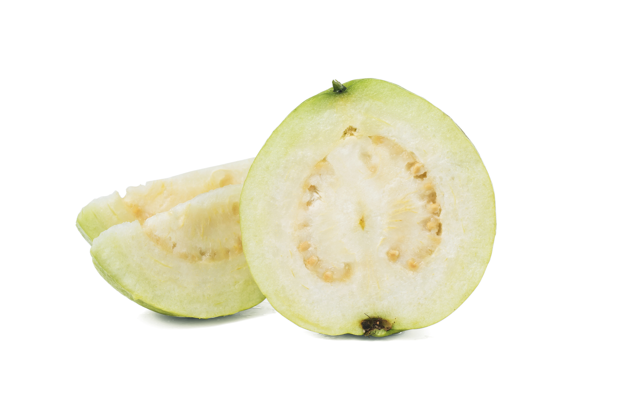 番石榴-新拟盘多毛孢侵染转录组分析及NPR 1基因表达研究