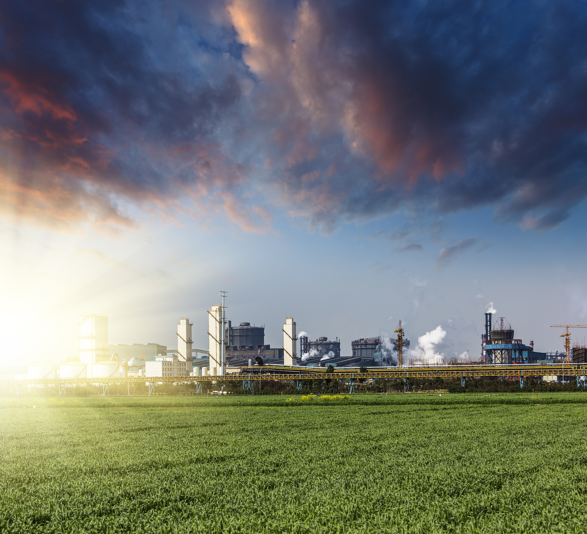 大气环境质量裸地治理报告：现状、意义与措施