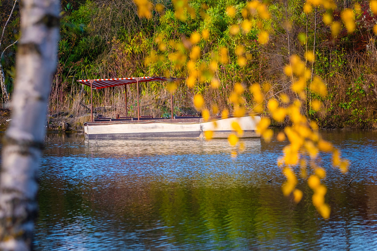 公园摄影vlog：捕捉自然之美，记录美好瞬间