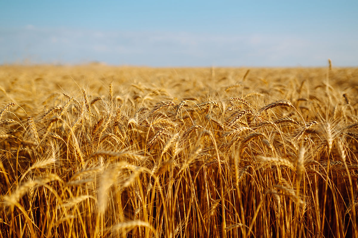 云南省农业学校2019年中考五年制招生咨询报名