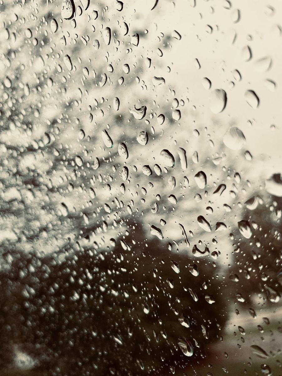 雨天的思绪：感受自然，体悟人生